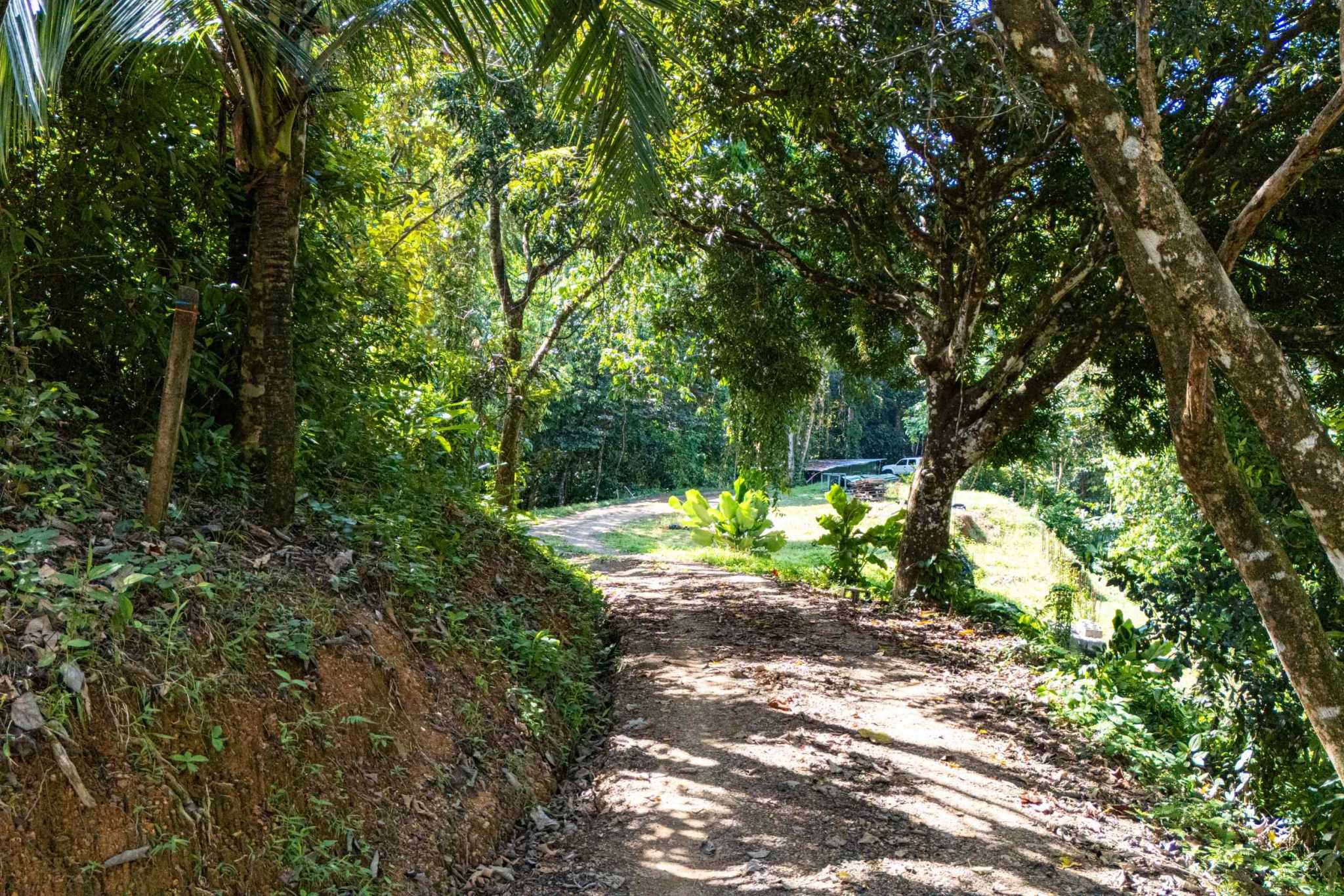 Nice 2-Bedroom Home with 1.8 Acre Lot with Room to Expand in Prestigious Las Brisa Community in Uvita Costa Rica