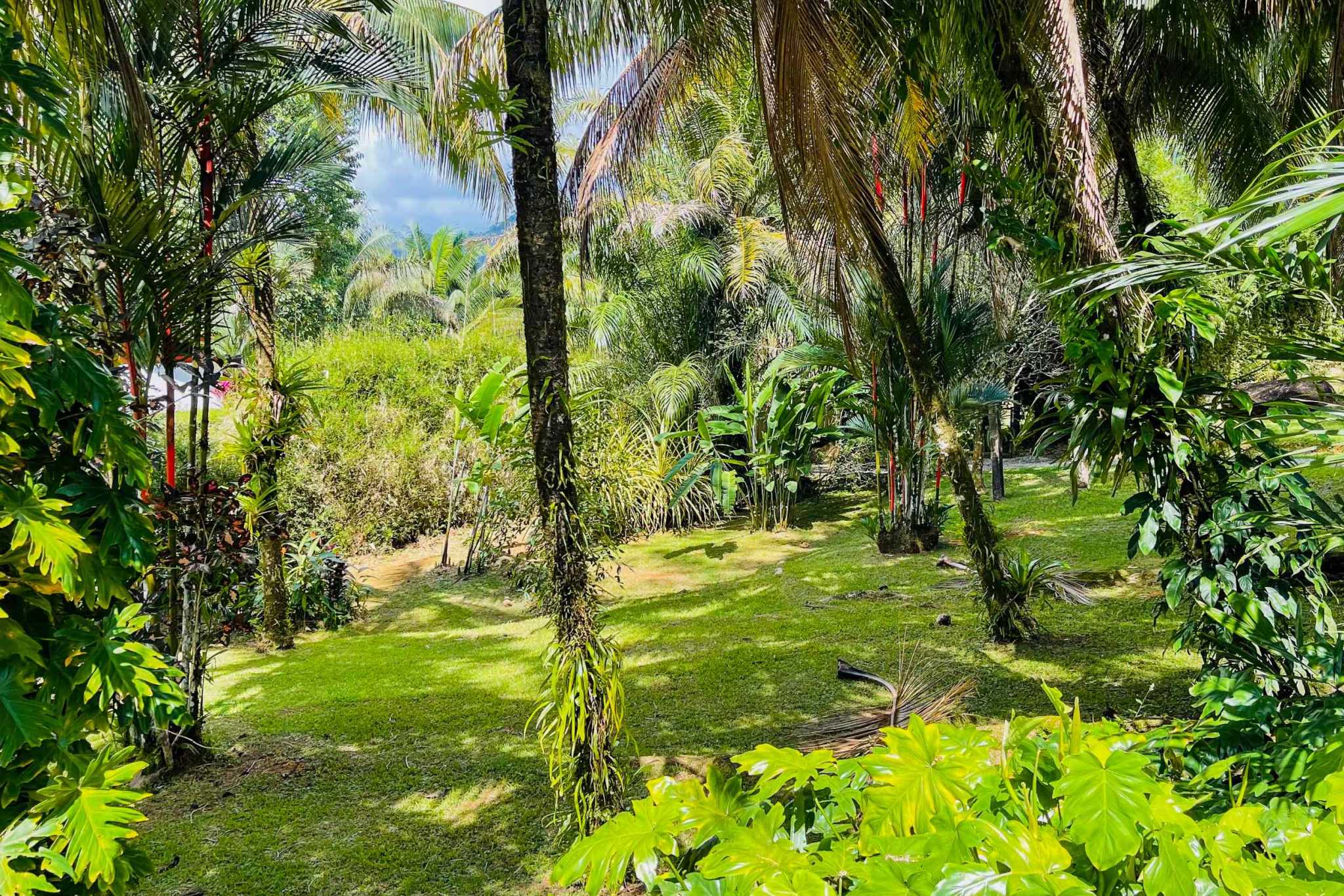 Charming 3 Bedroom Home on Lush Acreage with Pocket Ocean View in Ojochal Costa Rica