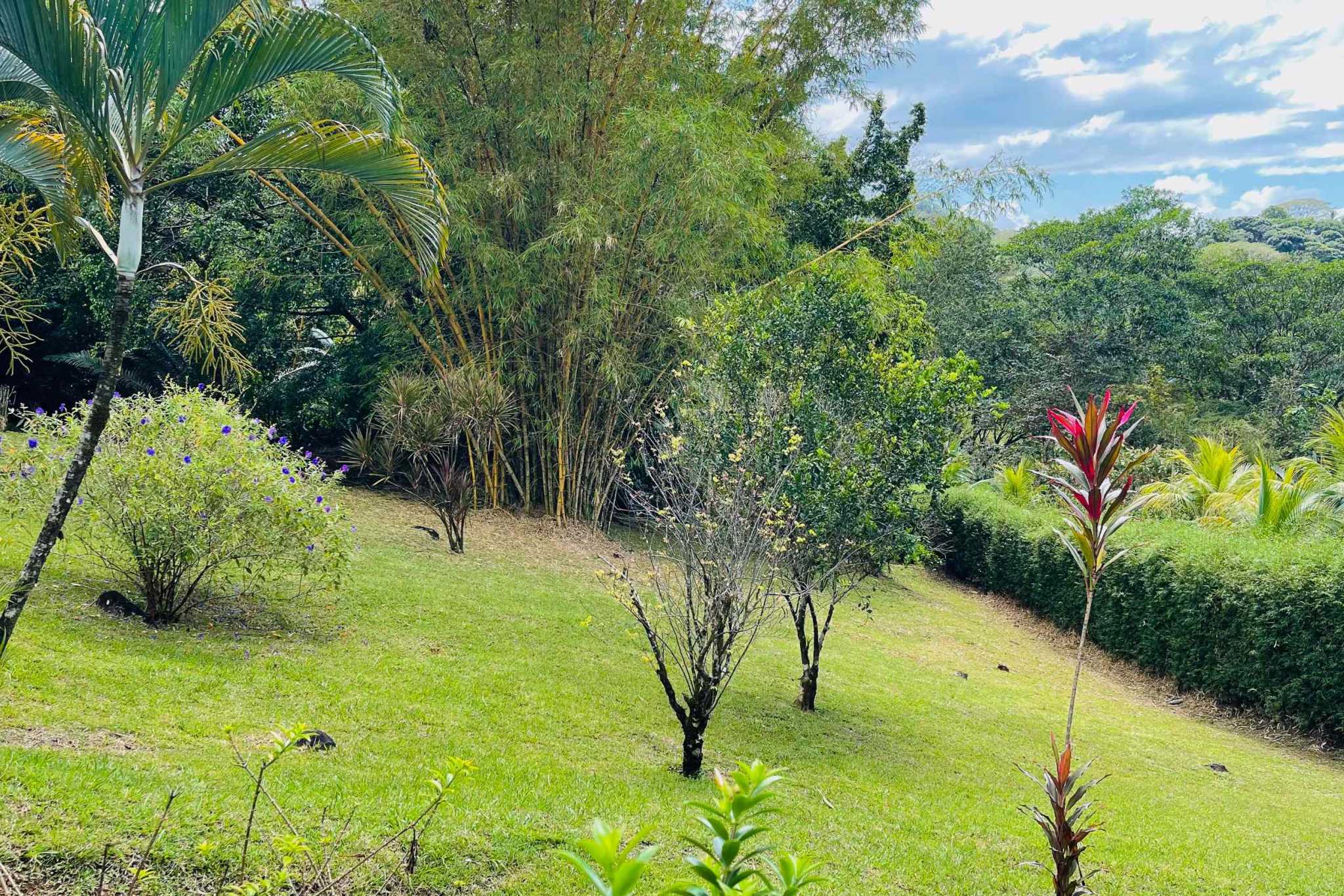 Charming 3 Bedroom Home on Lush Acreage with Pocket Ocean View in Ojochal Costa Rica