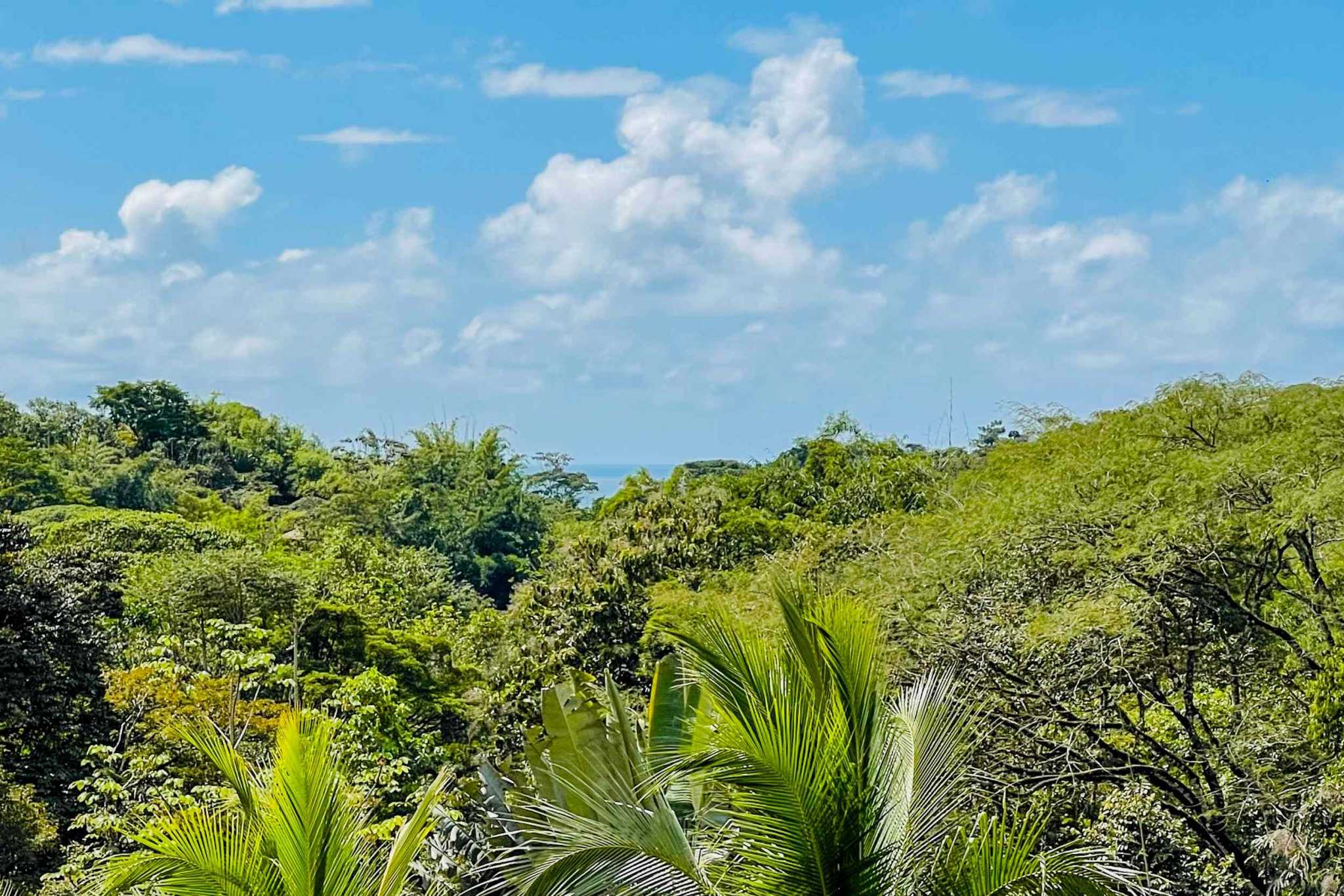 Charming 3 Bedroom Home on Lush Acreage with Pocket Ocean View in Ojochal Costa Rica