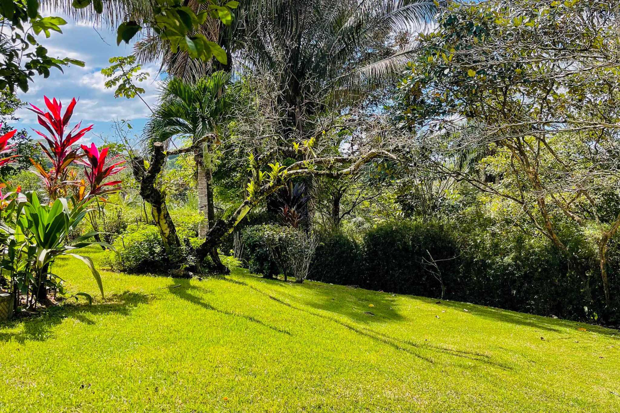 Charming 3 Bedroom Home on Lush Acreage with Pocket Ocean View in Ojochal Costa Rica