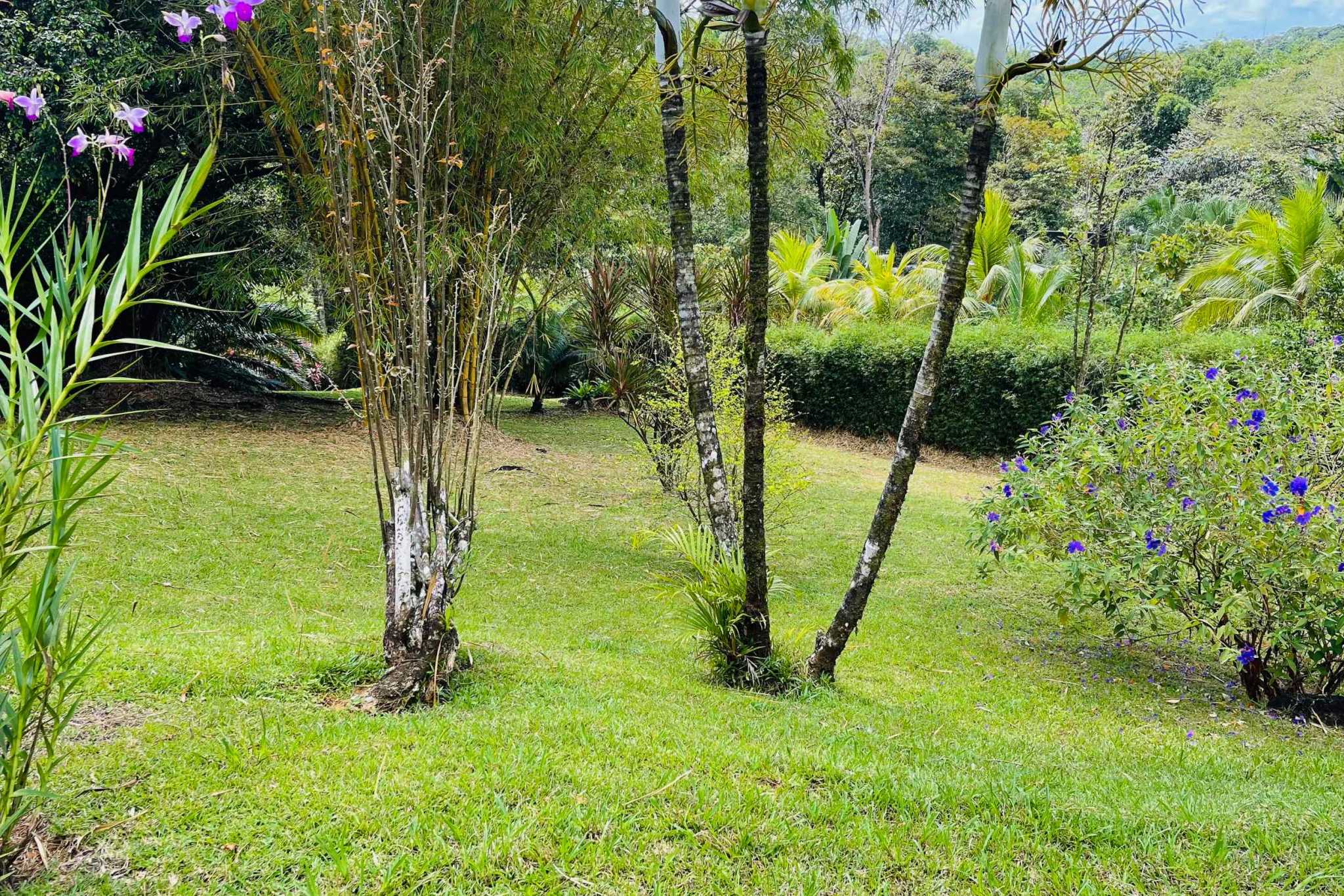 Charming 3 Bedroom Home on Lush Acreage with Pocket Ocean View in Ojochal Costa Rica