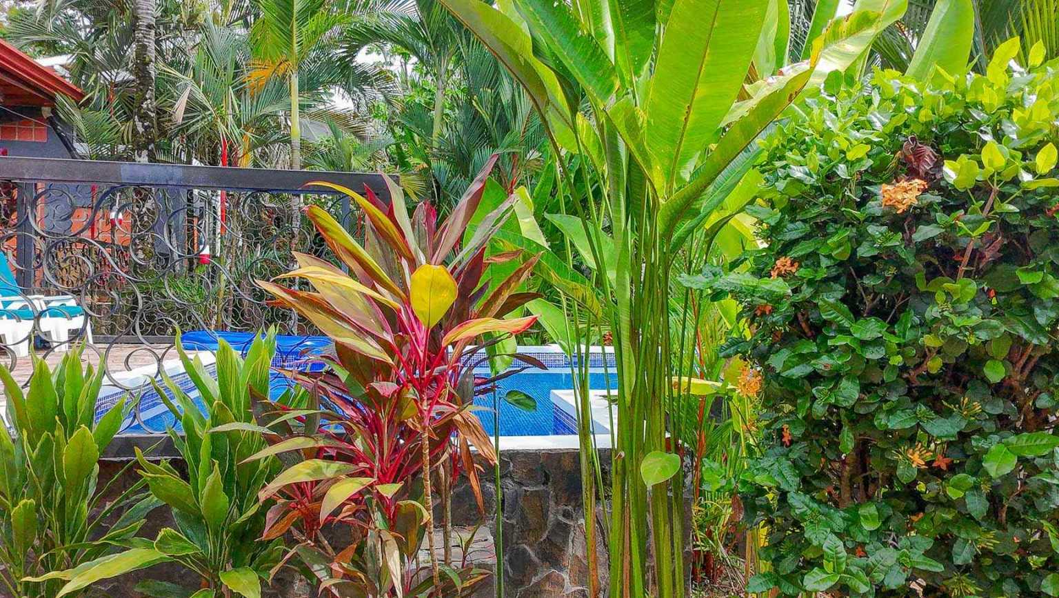 42517 (30) Beautiful Half-Acre Property in the Heart of Ojochal with Mountain Views, Traditional Homes, Pool, Lush Mature Gardens Priced to Sell in Ojochal Costa Rica