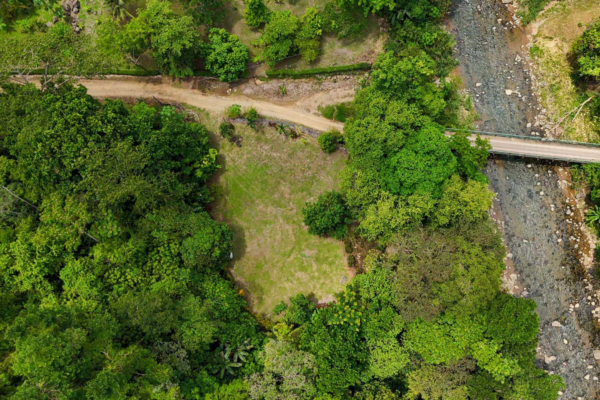 42804 (20) Private Riverside Garden of Eden with Mature Plants & Big Flat Building Area in Tres Rios Costa Rica