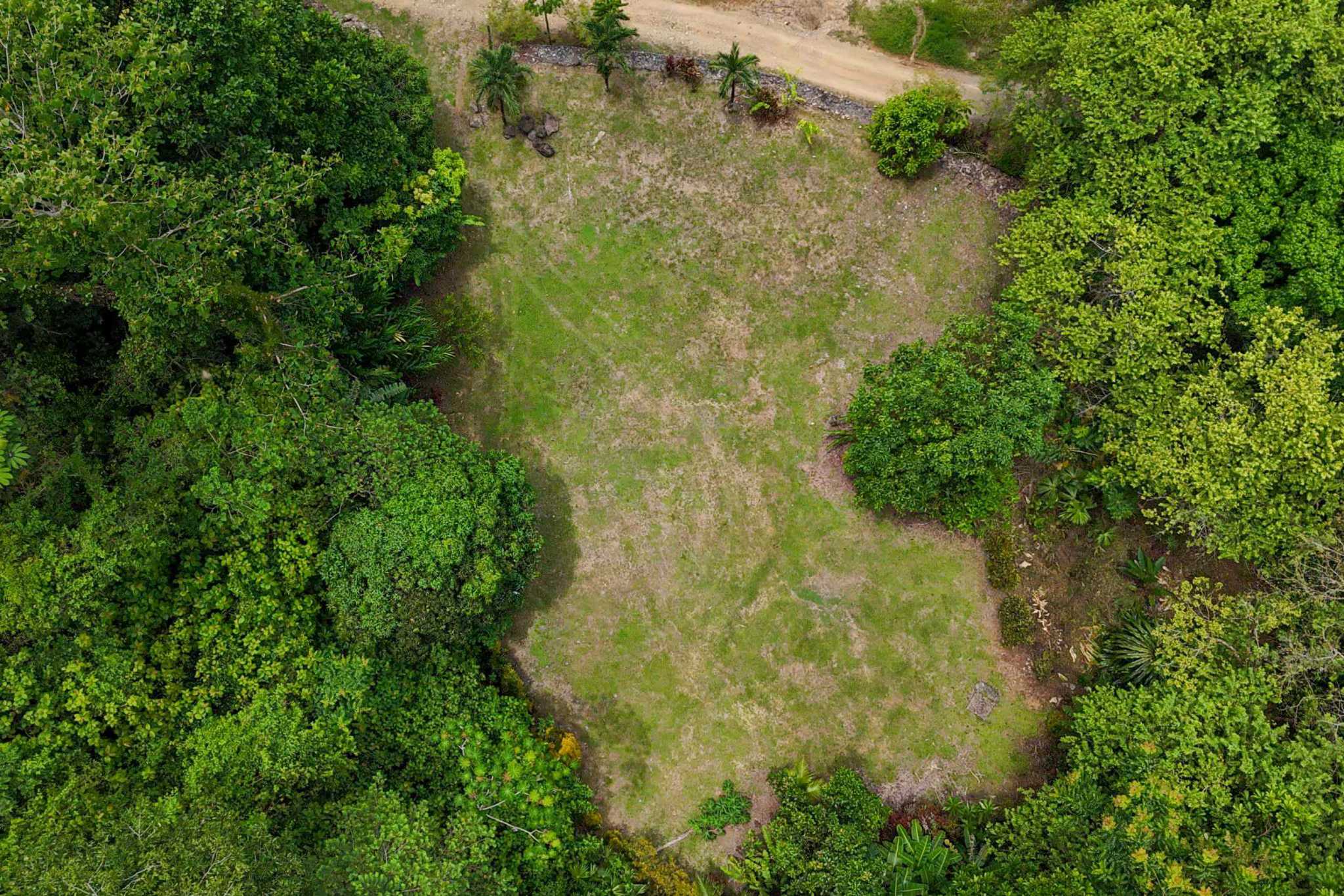 42804 (21) Private Riverside Garden of Eden with Mature Plants & Big Flat Building Area in Tres Rios Costa Rica
