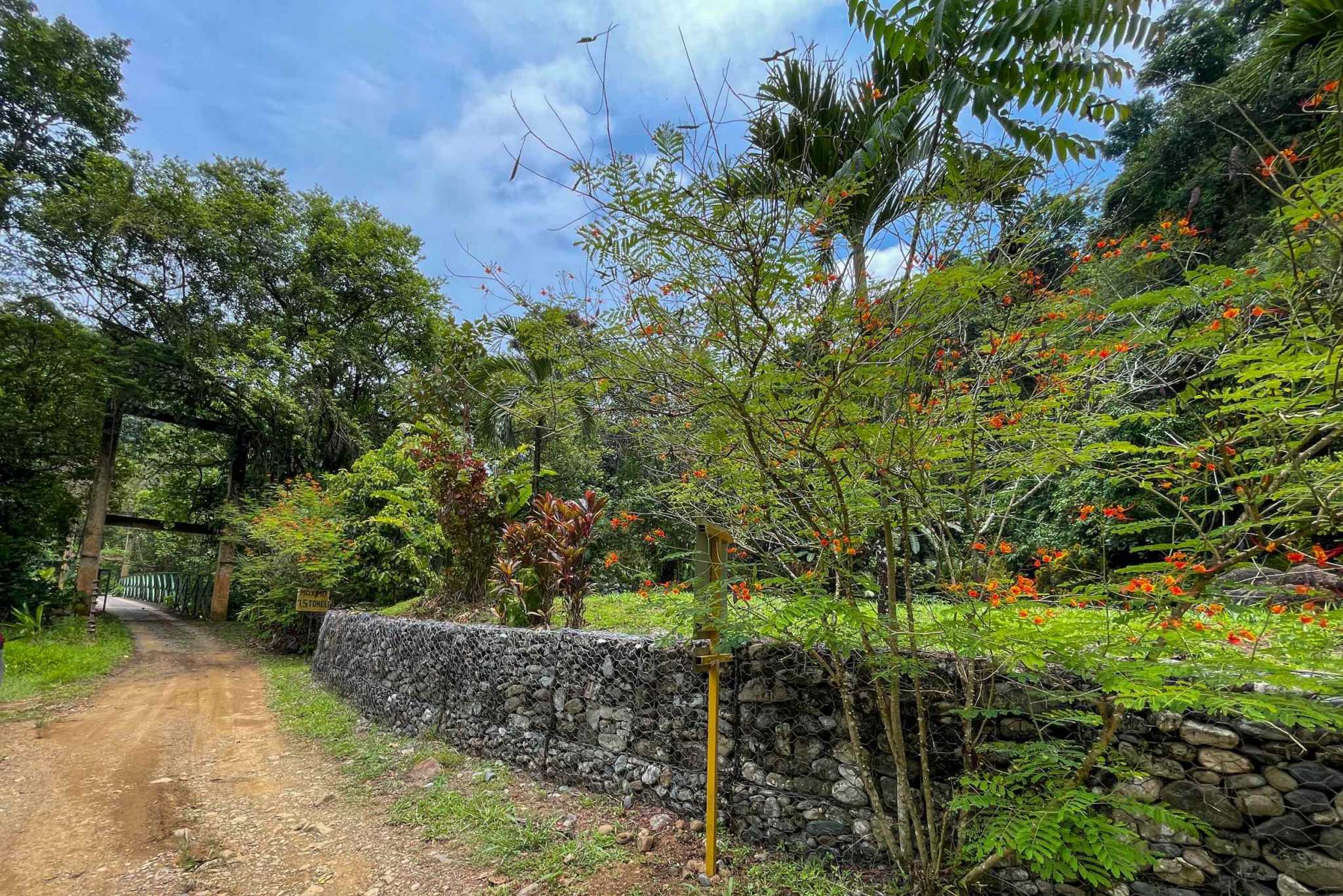 42804 (1) Private Riverside Garden of Eden with Mature Plants & Big Flat Building Area in Tres Rios Costa Rica