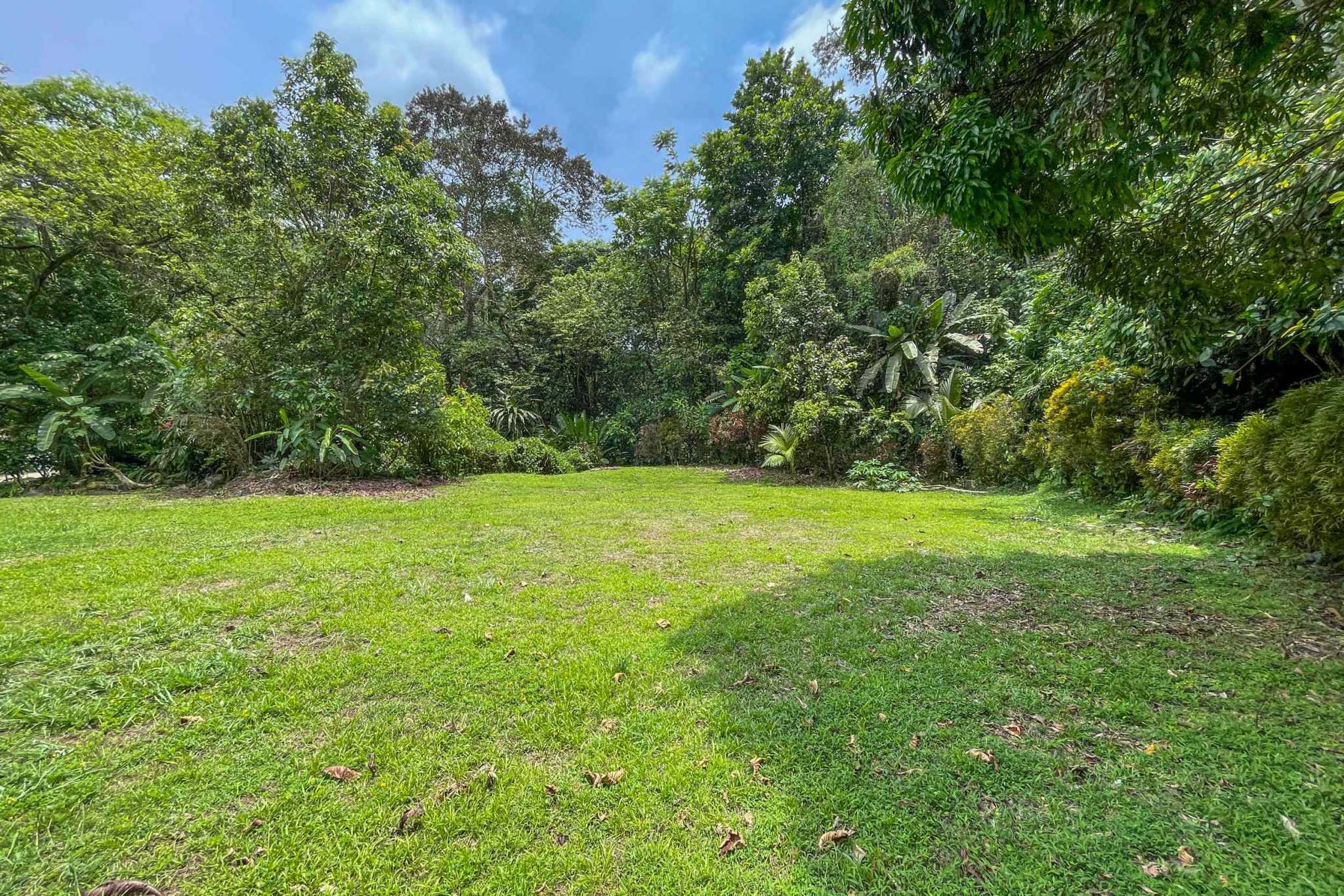 42804 (2) Private Riverside Garden of Eden with Mature Plants & Big Flat Building Area in Tres Rios Costa Rica