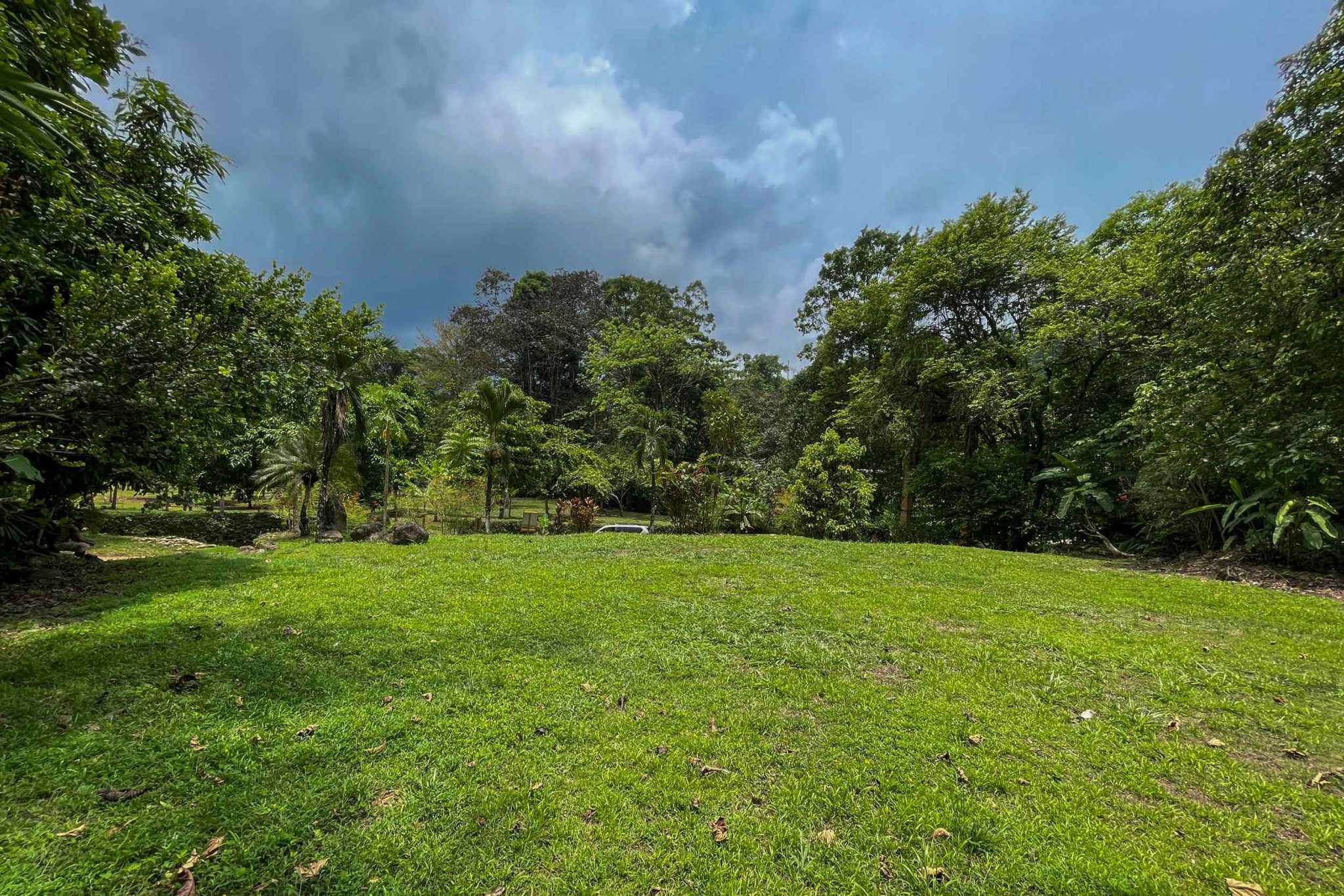 42804 (3) Private Riverside Garden of Eden with Mature Plants & Big Flat Building Area in Tres Rios Costa Rica