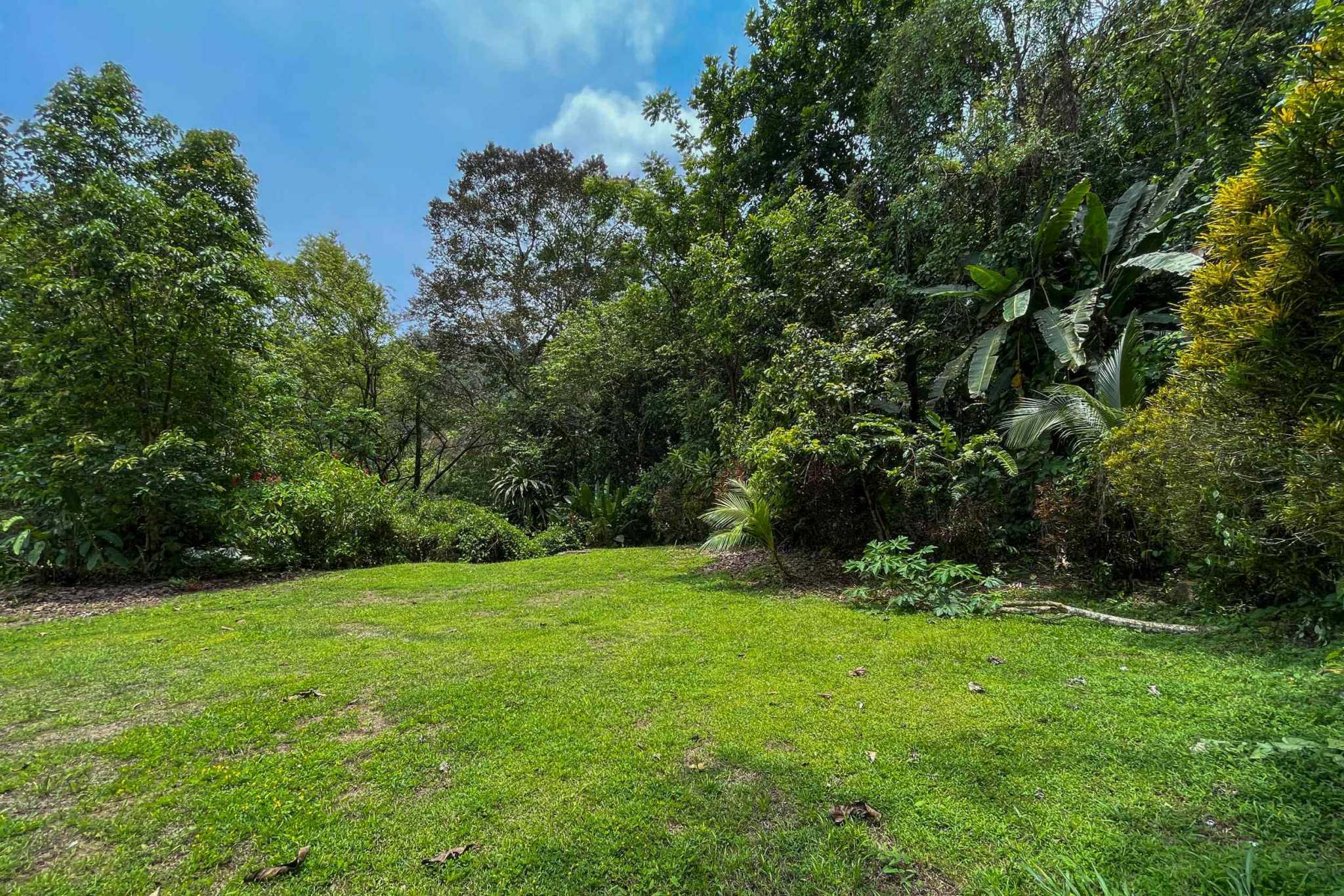 42804 (4) Private Riverside Garden of Eden with Mature Plants & Big Flat Building Area in Tres Rios Costa Rica