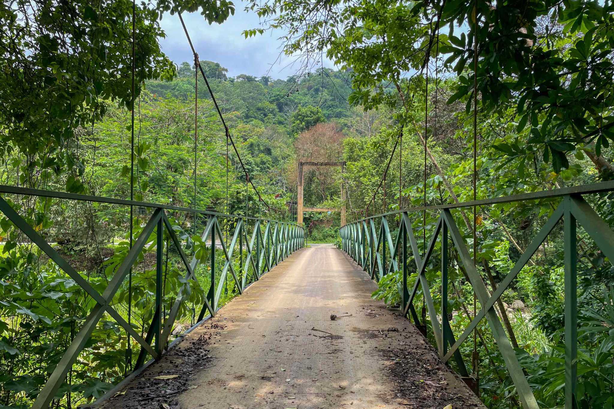 42804 (9) Private Riverside Garden of Eden with Mature Plants & Big Flat Building Area in Tres Rios Costa Rica