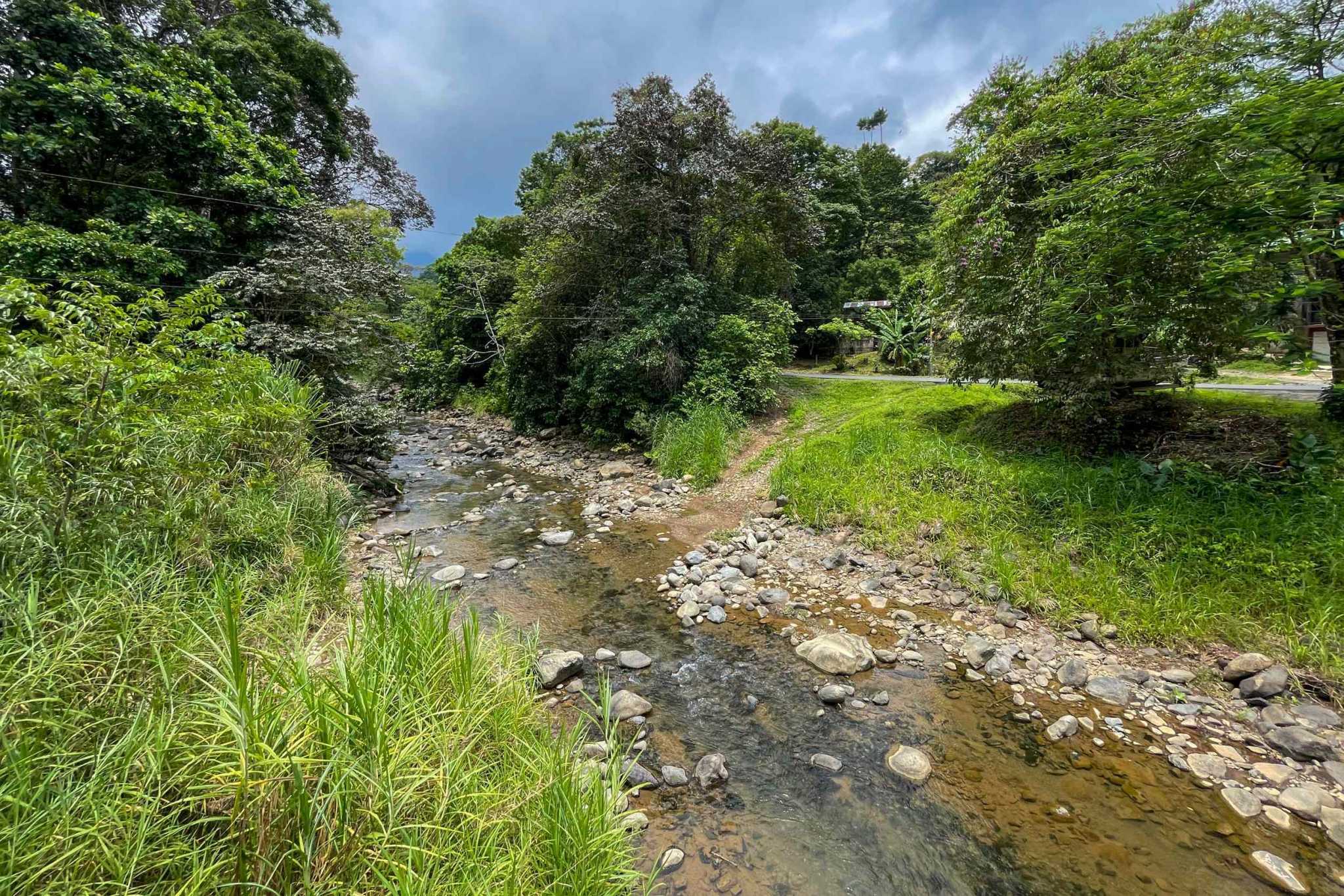 42804 (10) Private Riverside Garden of Eden with Mature Plants & Big Flat Building Area in Tres Rios Costa Rica