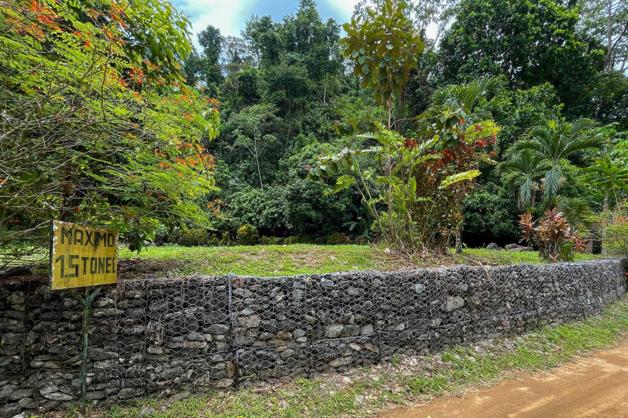 42804 (11) Private Riverside Garden of Eden with Mature Plants & Big Flat Building Area in Tres Rios Costa Rica