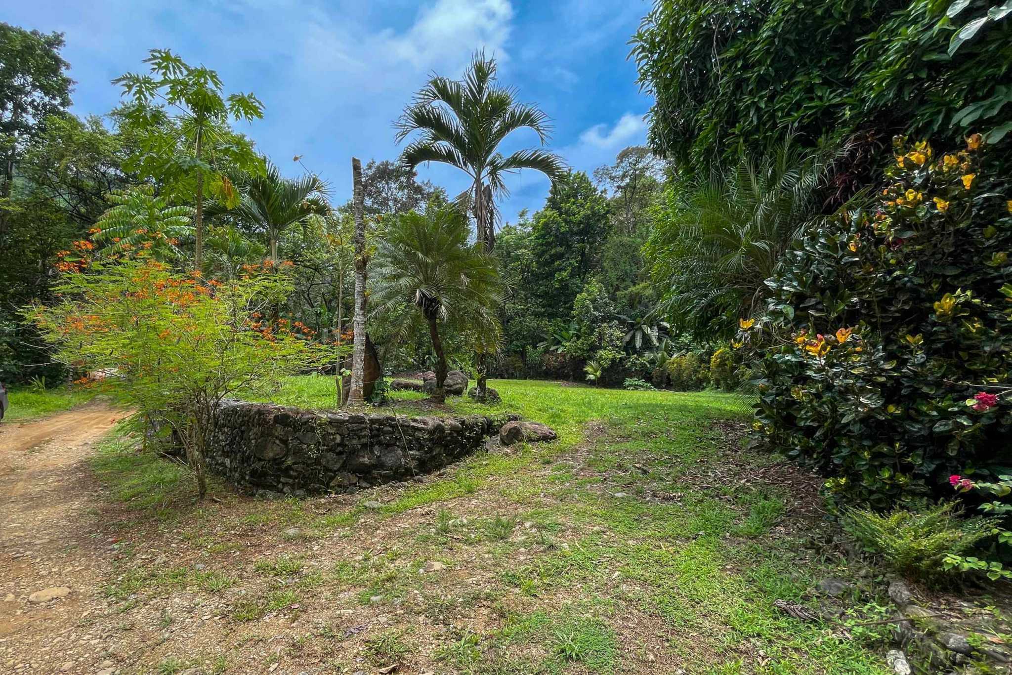 42804 (12) Private Riverside Garden of Eden with Mature Plants & Big Flat Building Area in Tres Rios Costa Rica