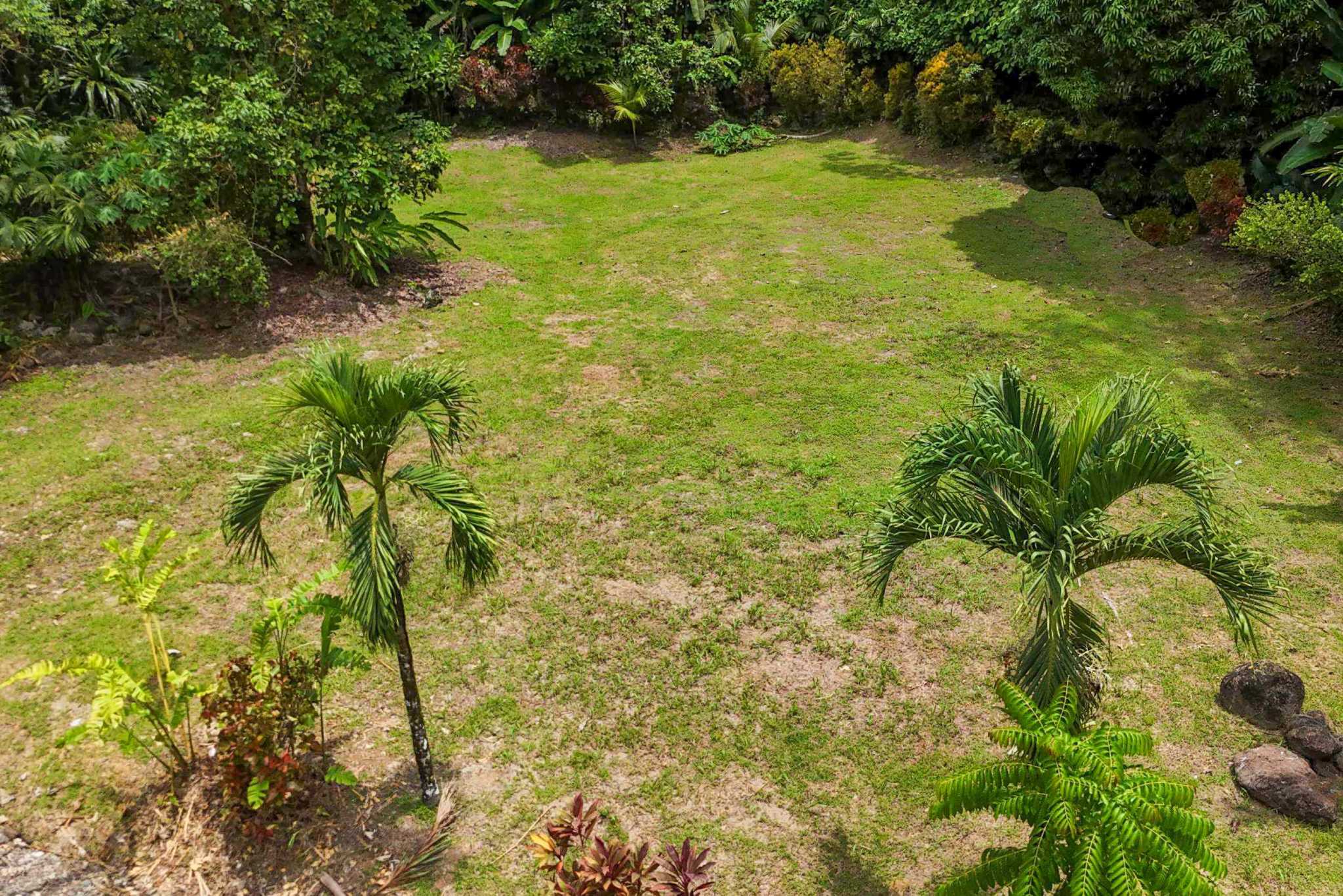42804 (17) Private Riverside Garden of Eden with Mature Plants & Big Flat Building Area in Tres Rios Costa Rica