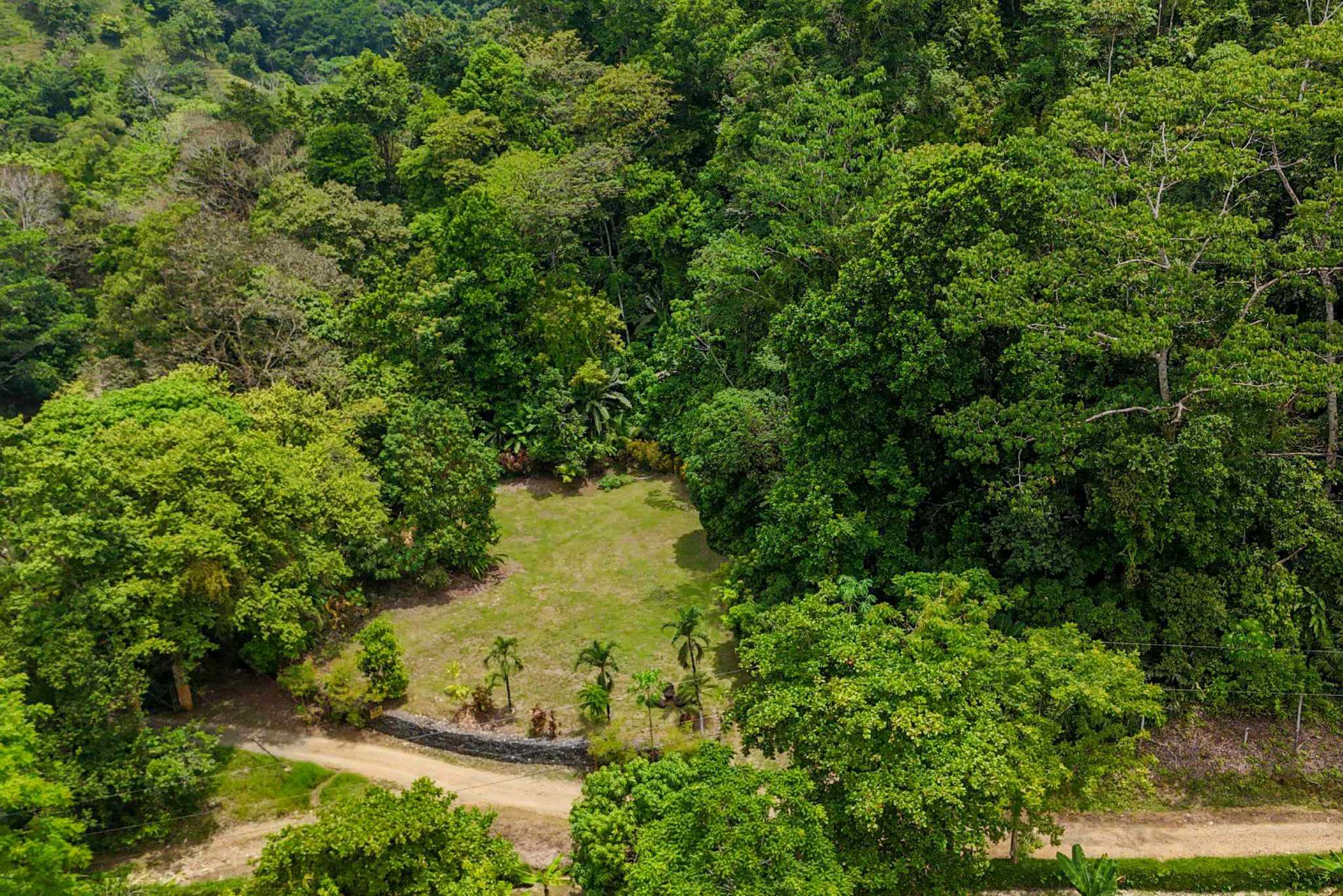 42804 (18) Private Riverside Garden of Eden with Mature Plants & Big Flat Building Area in Tres Rios Costa Rica