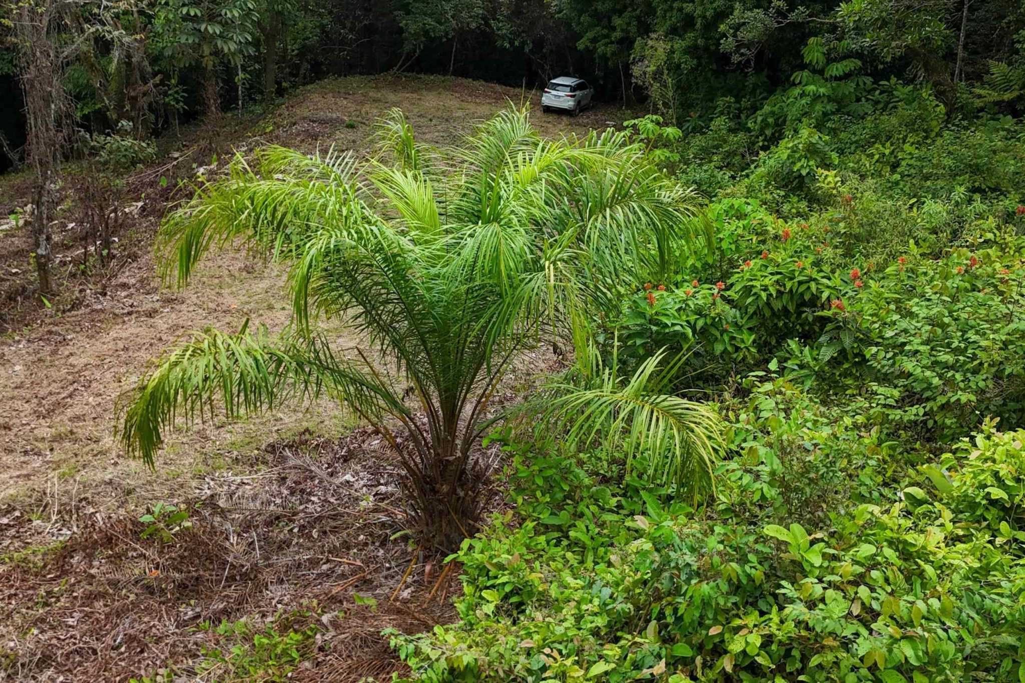 42820 (4) Private Creekside Land with Big Flat Building Area on 1.25 Acres in the Costa Azul community in Tres Rios Costa Rica