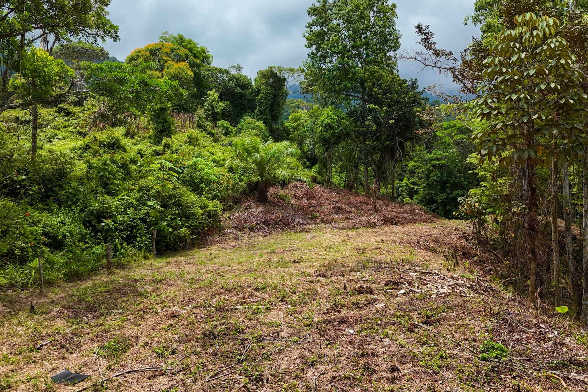 42820 (10) Private Creekside Land with Big Flat Building Area on 1.25 Acres in the Costa Azul community in Tres Rios Costa Rica