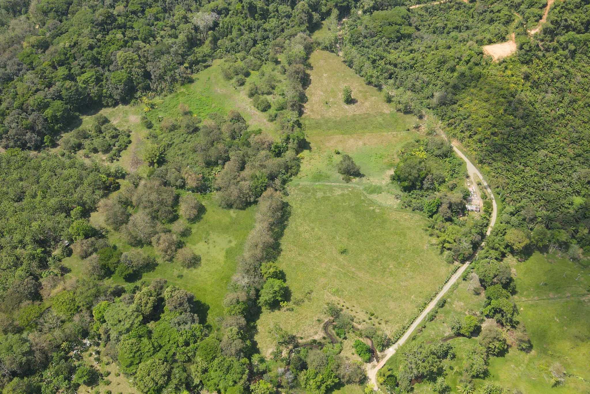 43996 (3) Farm for Sale – Perfect for Agriculture, Homesteading & Sustainable Living in San Buenas near Ojochal Costa Rica
