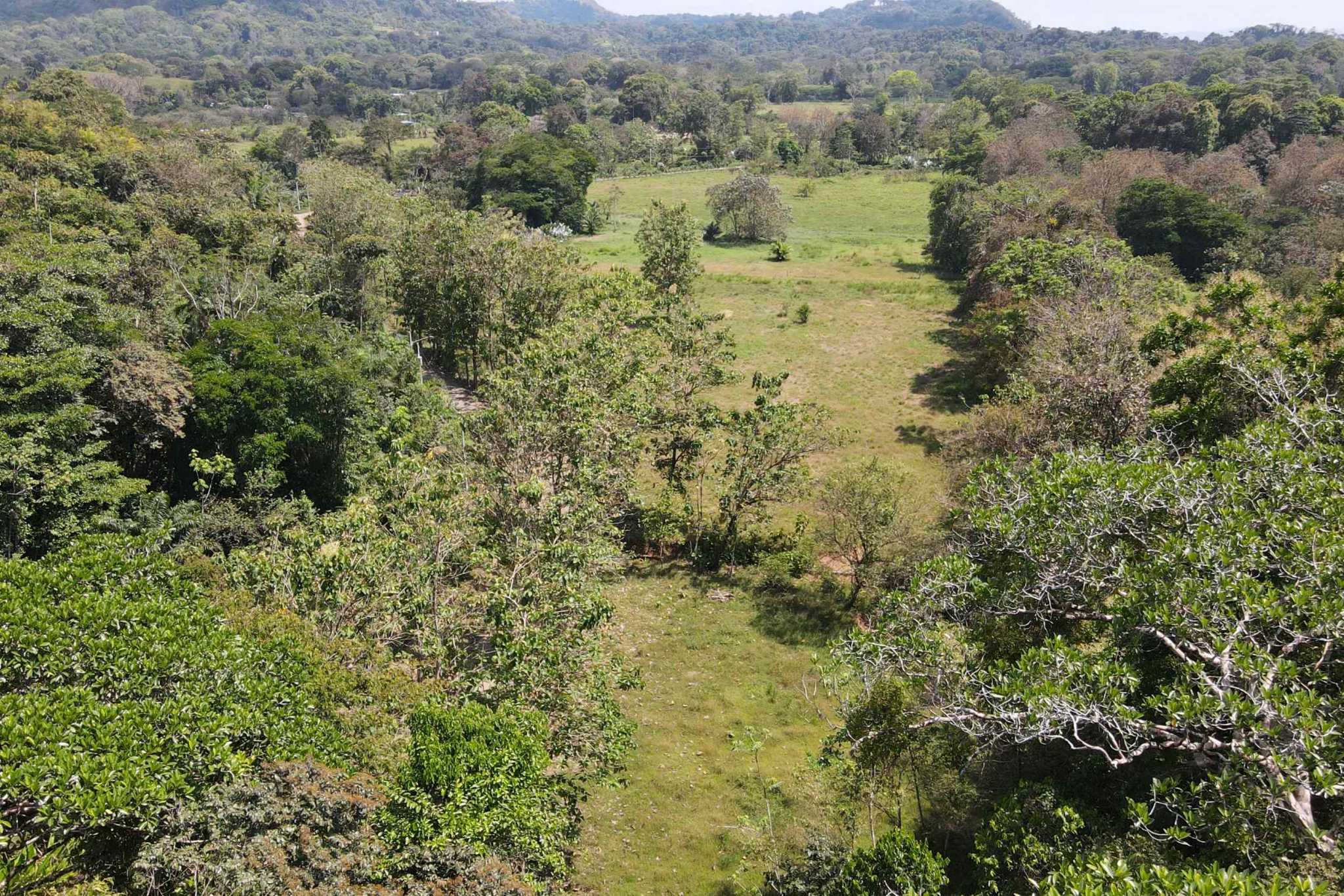 43996 (7) Farm for Sale – Perfect for Agriculture, Homesteading & Sustainable Living in San Buenas near Ojochal Costa Rica