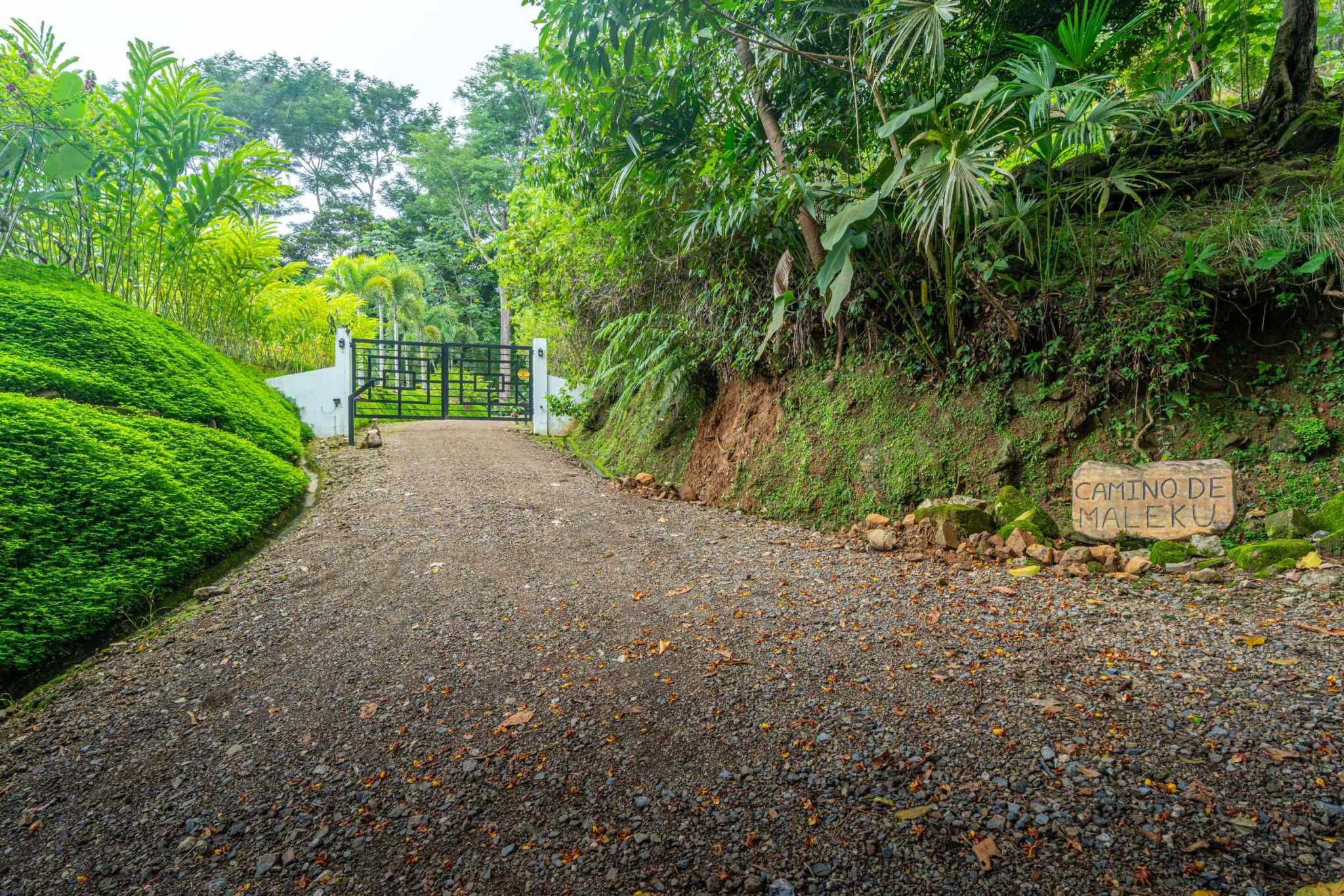 Luxury Ocean View 5-Bedroom Retreat Overlooking the Whale’s Tail Ocean View with Proven Rental Income in Uvita Costa Rica