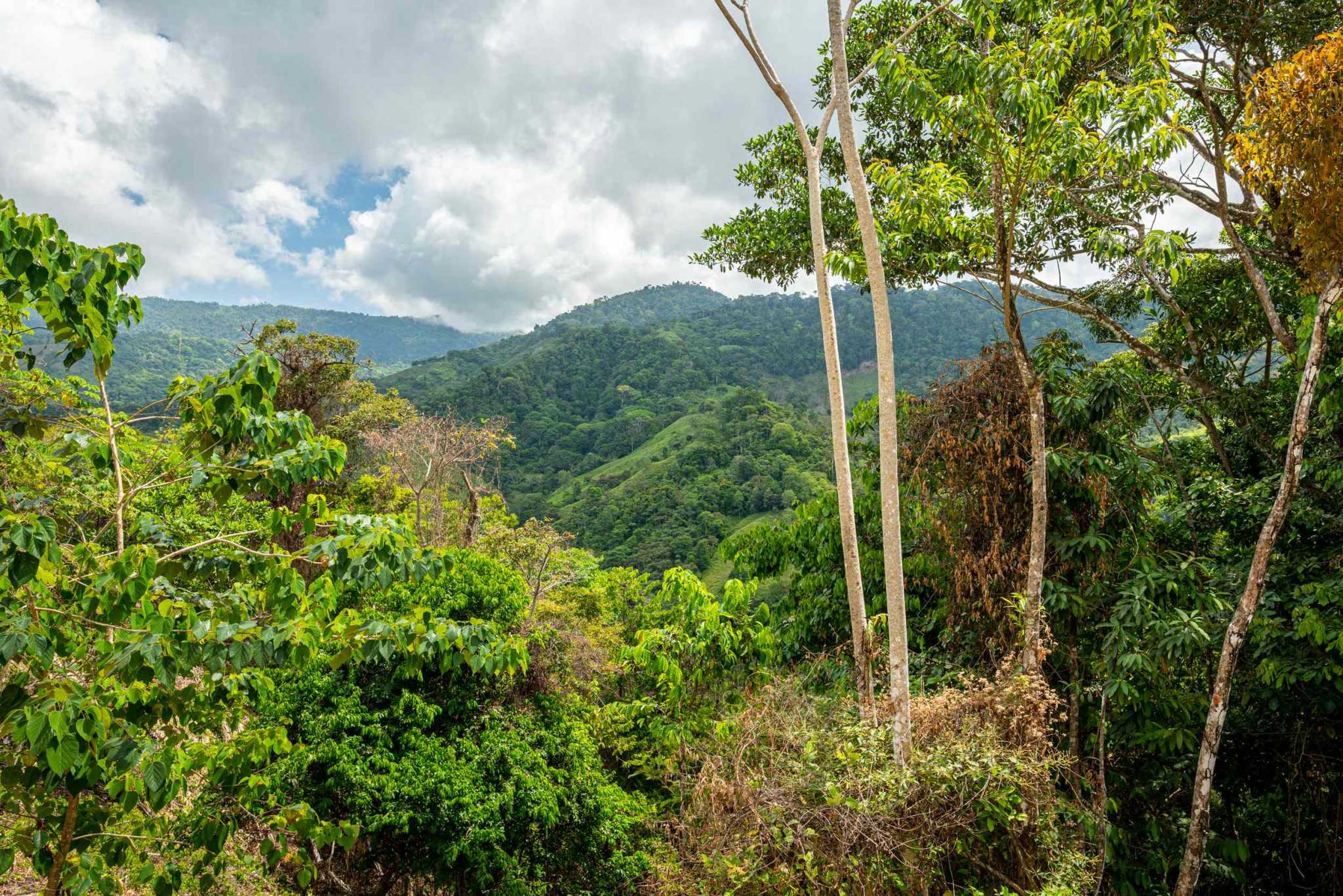 Amazing 4-Bedroom Home with Pool and Incredible Whale’s Tail & Sunset Ocean Views in San Josesito above Uvita Costa Rica