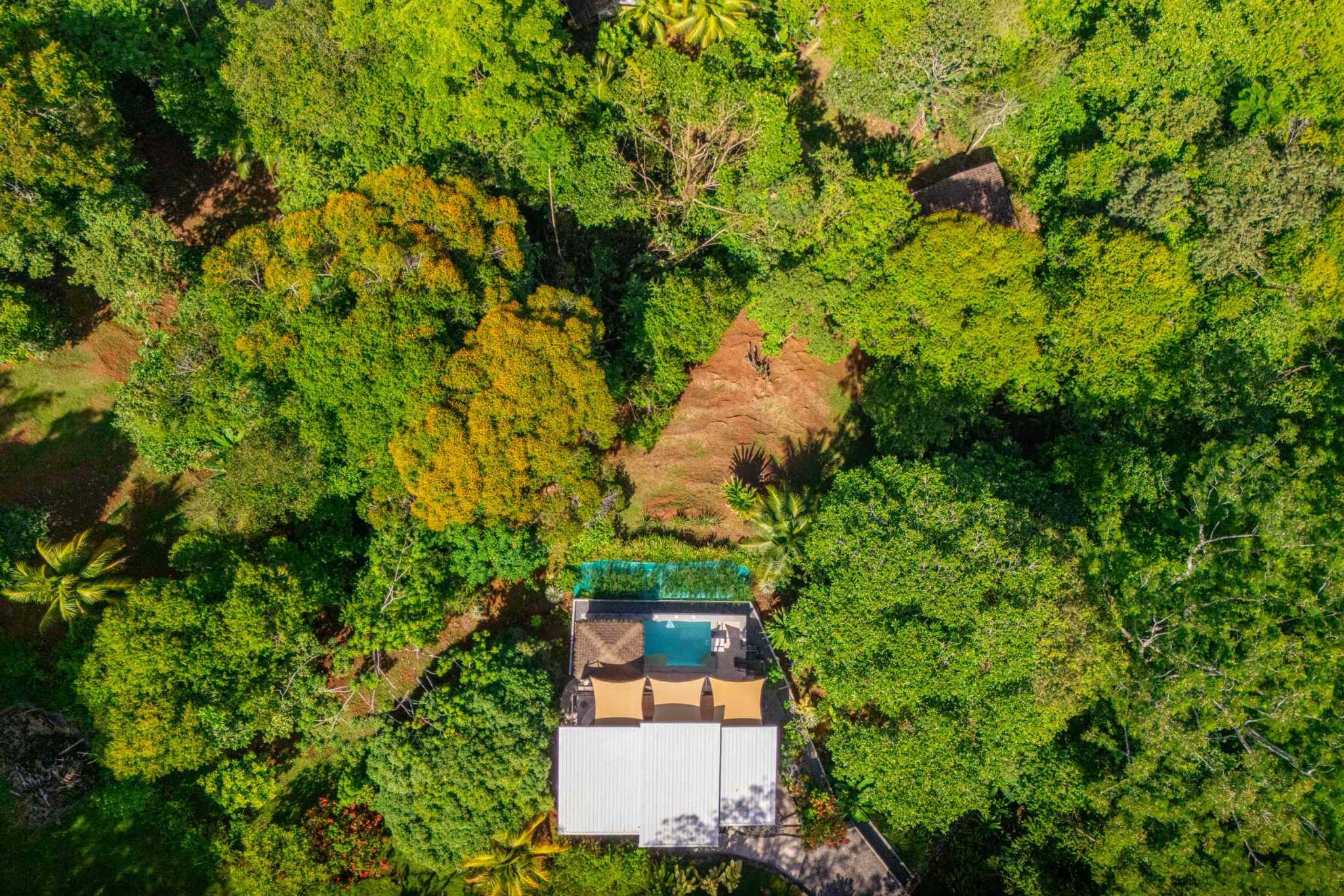 44918 (44) Ocean View 3-Bedroom Retreat with Pool, Fruit Trees & Prime Location in Ojochal Costa Rica