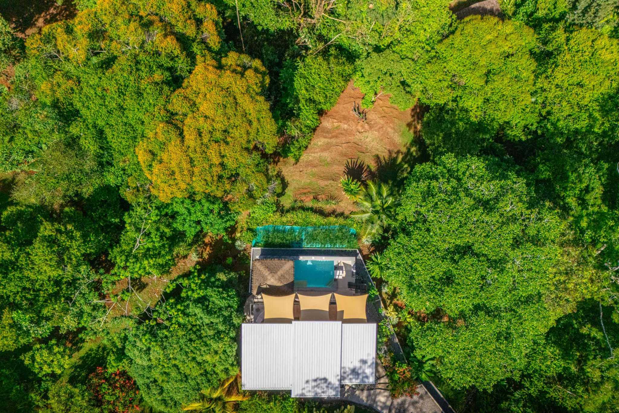 44918 (21) Ocean View 3-Bedroom Retreat with Pool, Fruit Trees & Prime Location in Ojochal Costa Rica