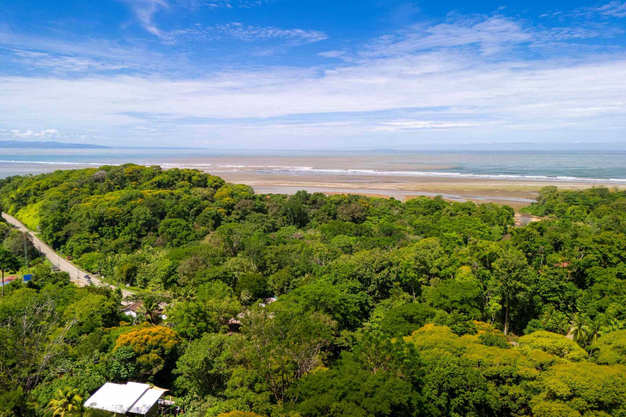 44918 (22) Ocean View 3-Bedroom Retreat with Pool, Fruit Trees & Prime Location in Ojochal Costa Rica