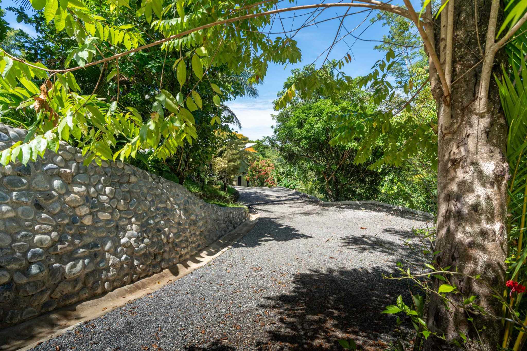 44918 (23) Ocean View 3-Bedroom Retreat with Pool, Fruit Trees & Prime Location in Ojochal Costa Rica