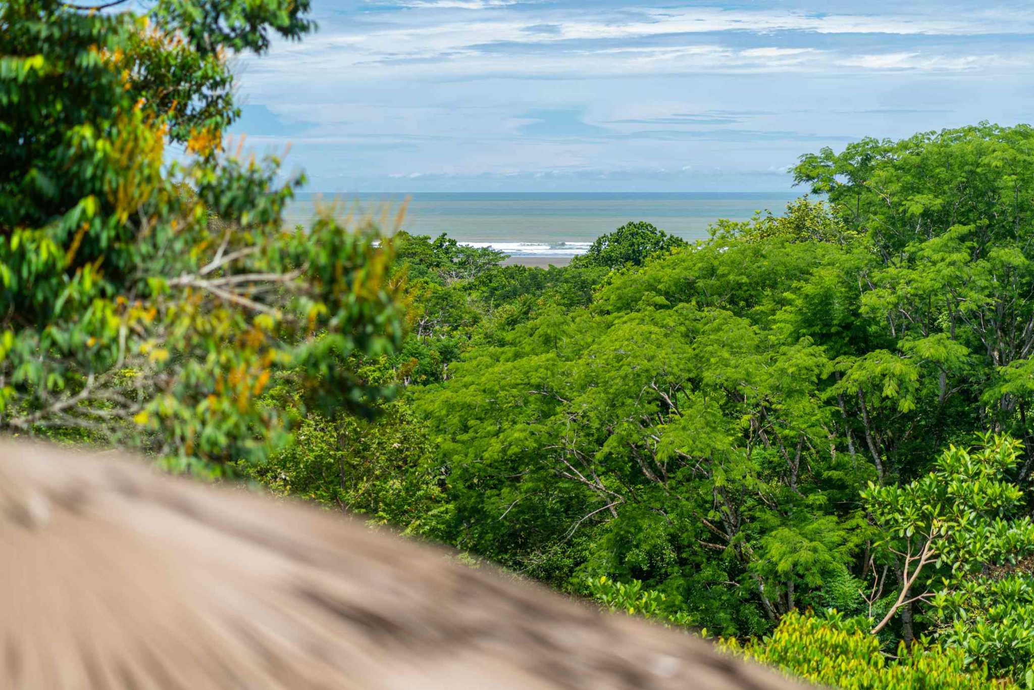 44918 (39) Ocean View 3-Bedroom Retreat with Pool, Fruit Trees & Prime Location in Ojochal Costa Rica