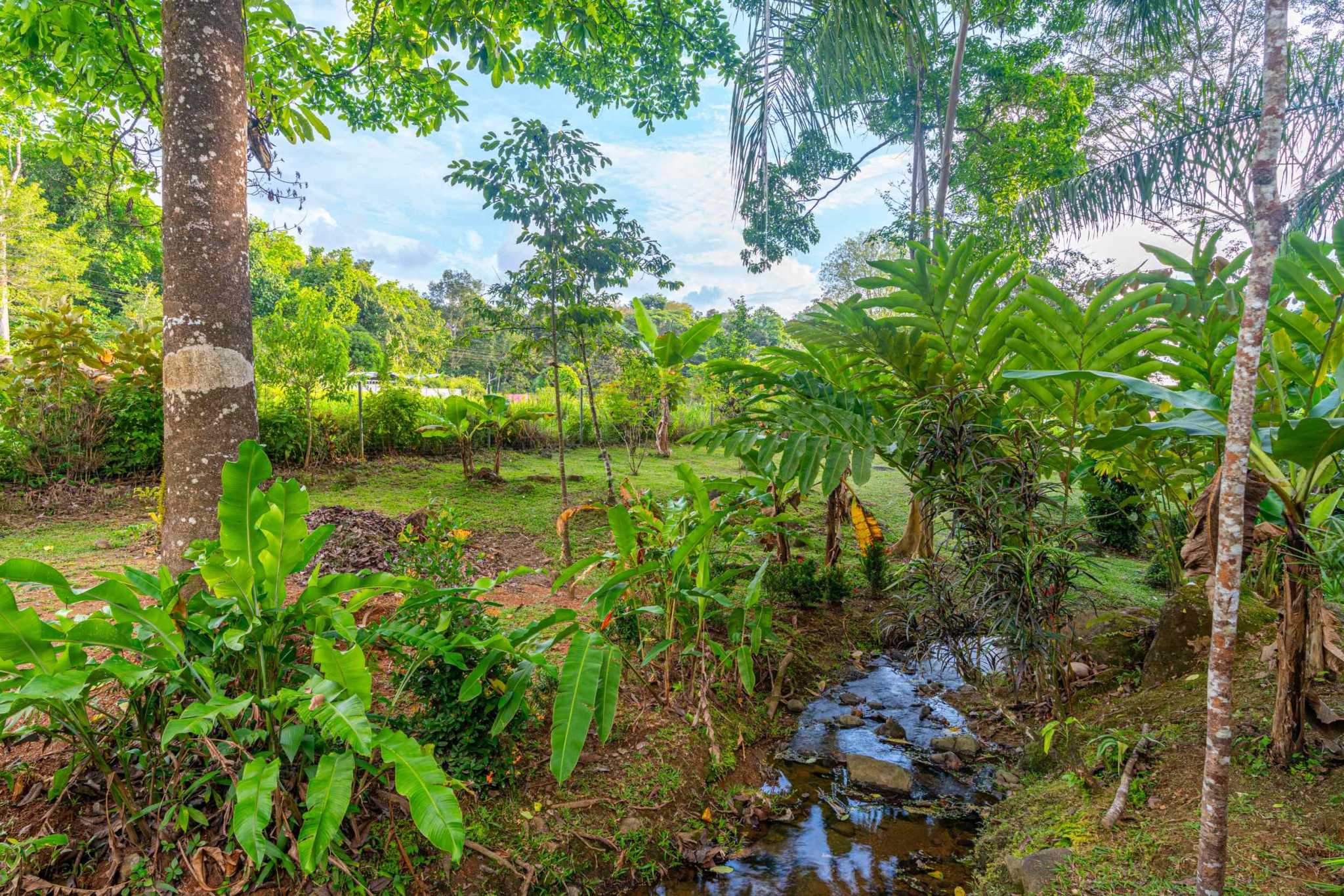 46273 (9) Renovated, Comfortable 4-Bedroom Simple Home near Streams in Ojochal Costa Rica