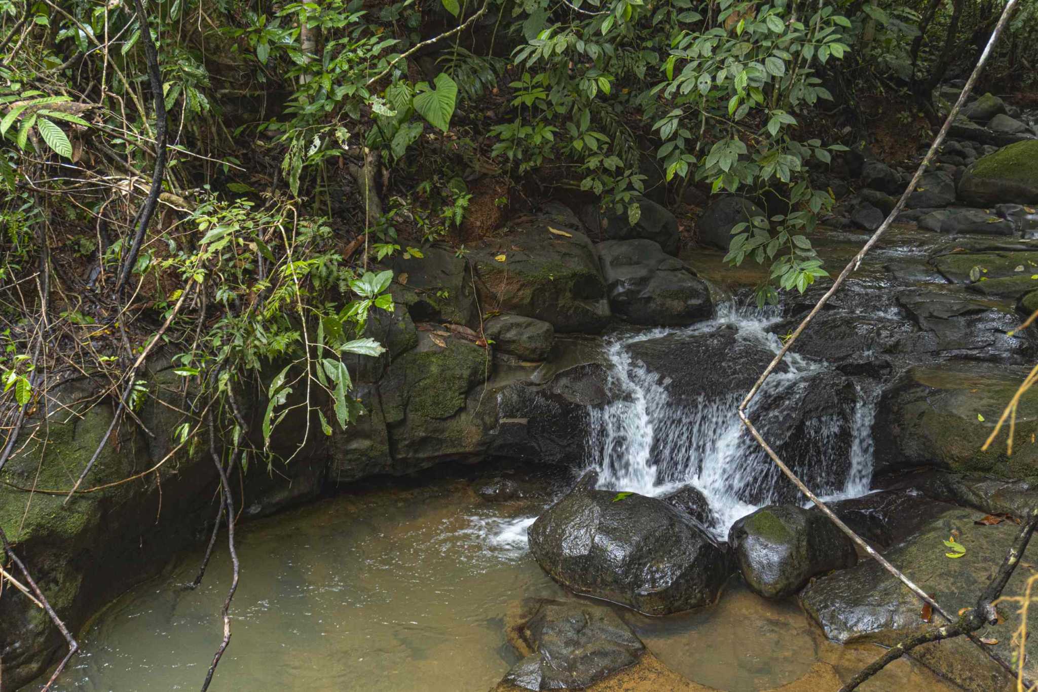 47401 (20) Serene Costa Rican Jungle 3-Bedroom Retreat with Waterfalls & Wildlife in Platanillo Costa Rica