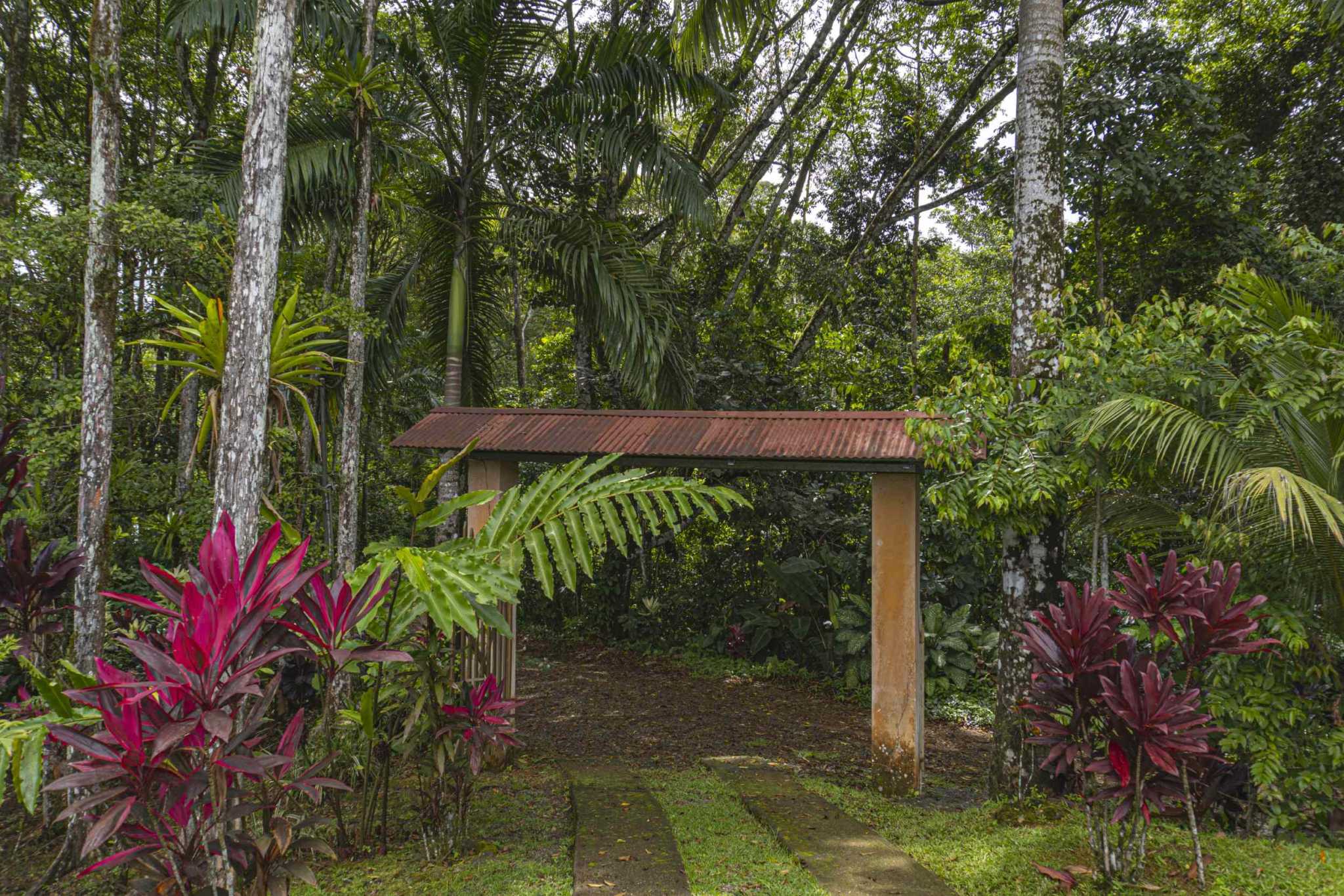 47401 (24) Serene Costa Rican Jungle 3-Bedroom Retreat with Waterfalls & Wildlife in Platanillo Costa Rica