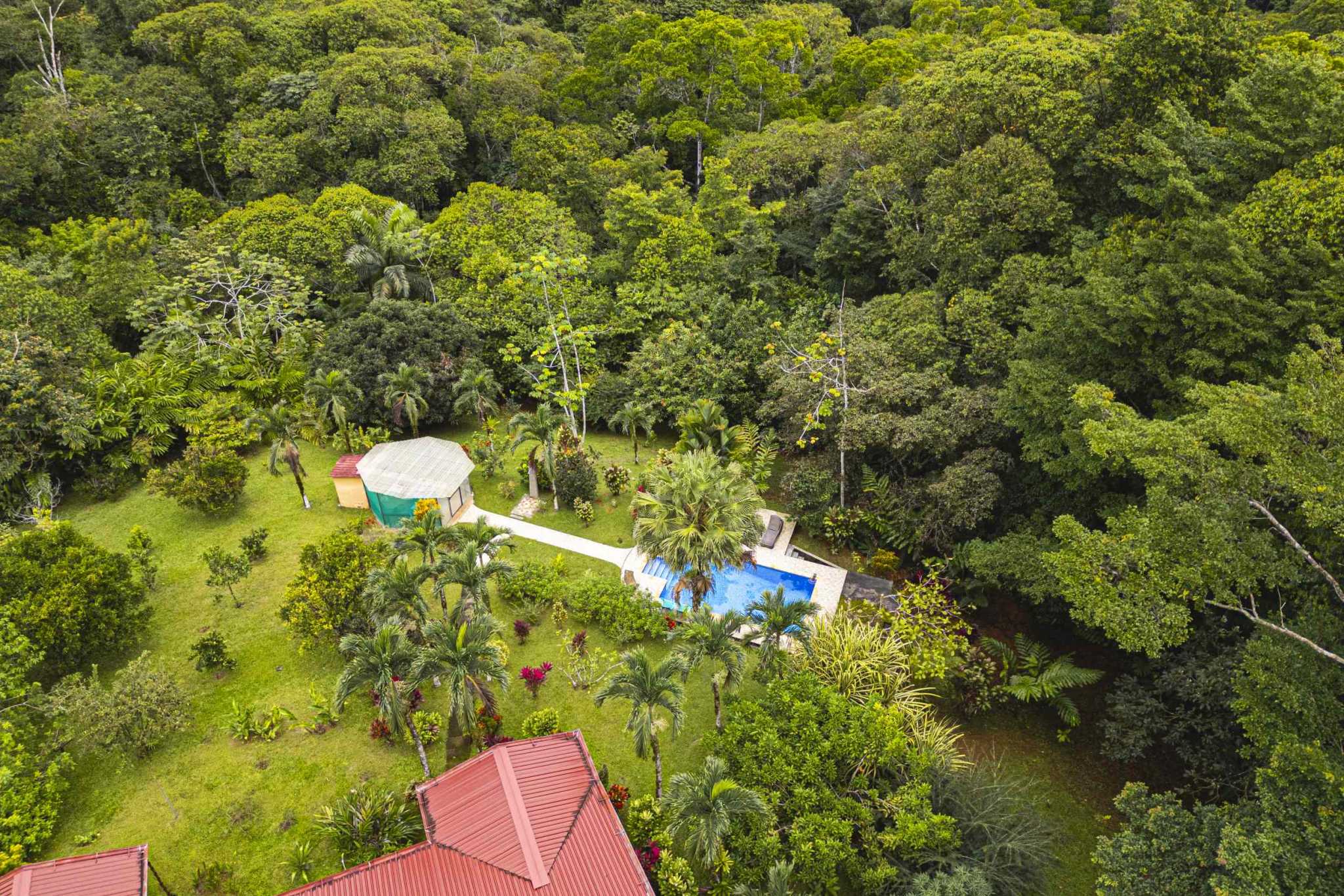 47401 (30) Serene Costa Rican Jungle 3-Bedroom Retreat with Waterfalls & Wildlife in Platanillo Costa Rica
