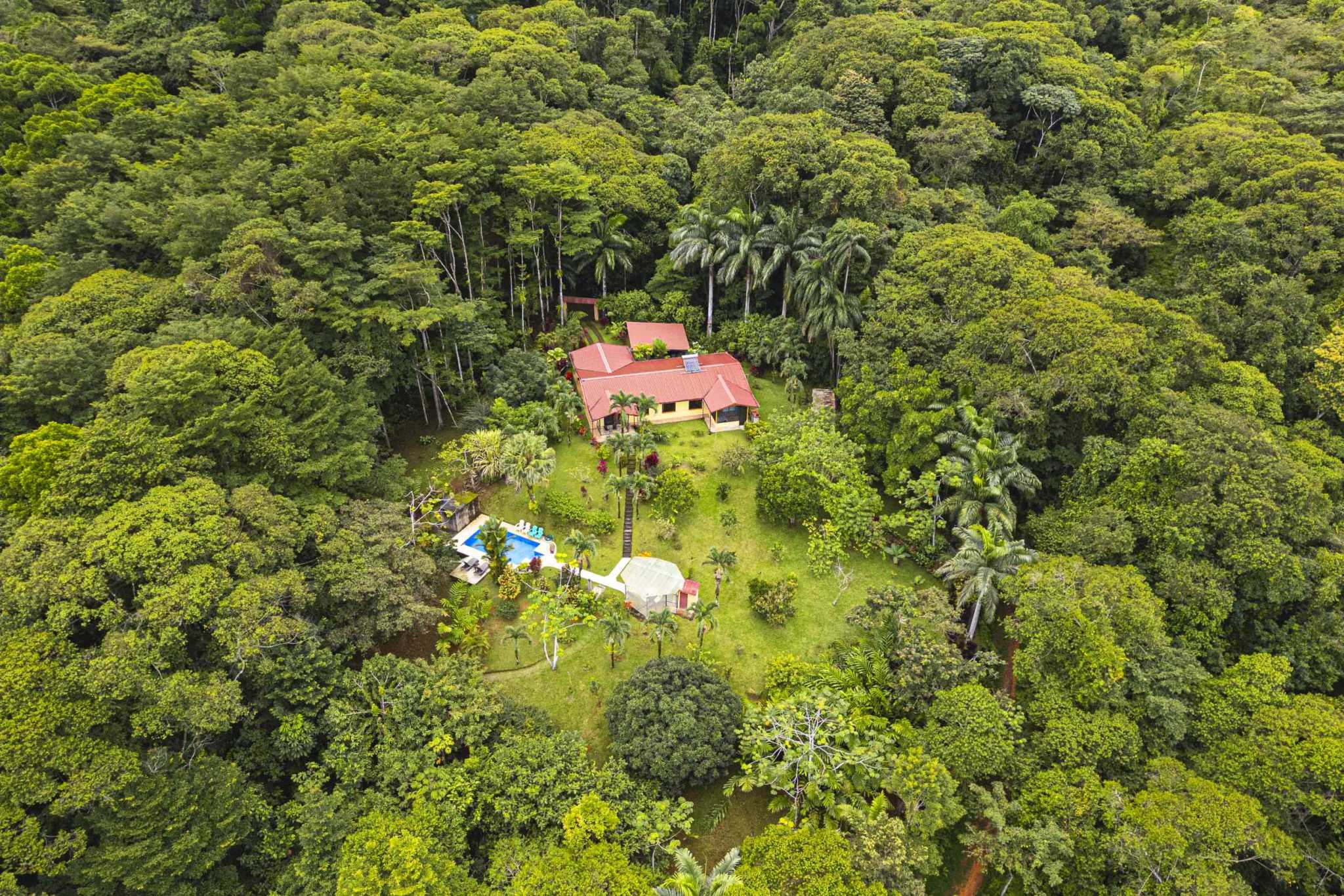 47401 (8) Serene Costa Rican Jungle 3-Bedroom Retreat with Waterfalls & Wildlife in Platanillo Costa Rica
