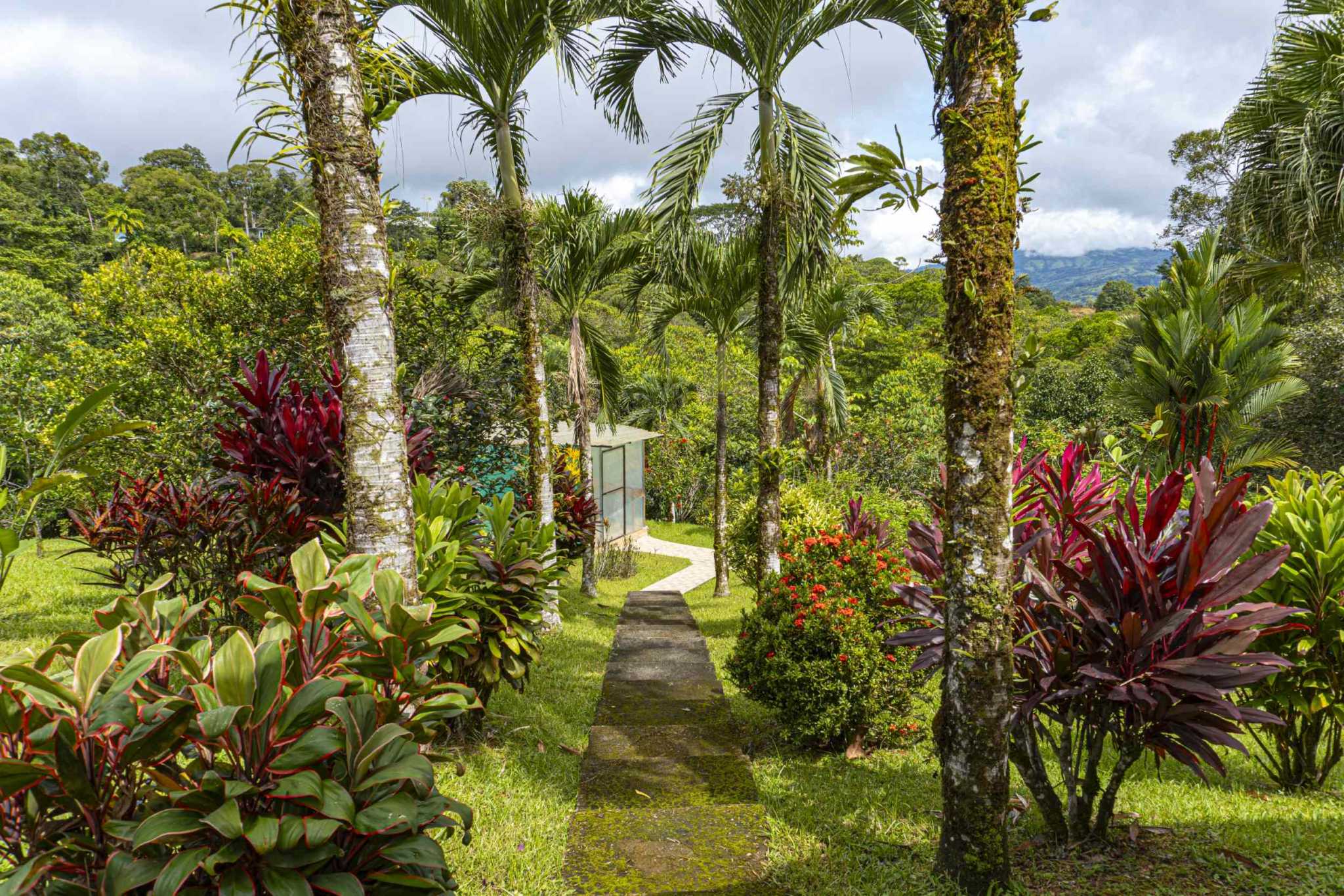 47401 (17) Serene Costa Rican Jungle 3-Bedroom Retreat with Waterfalls & Wildlife in Platanillo Costa Rica