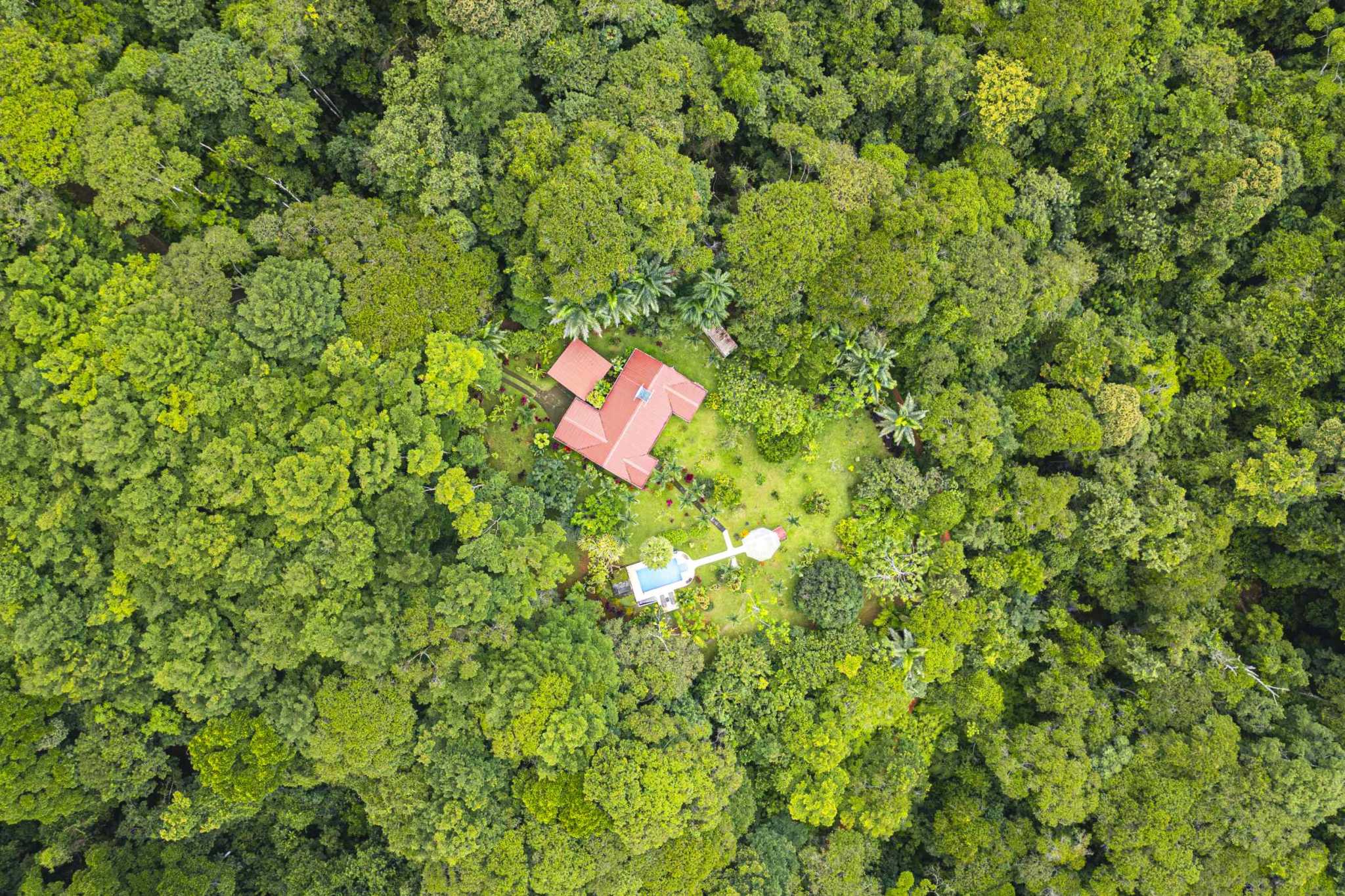 47401 (9) Serene Costa Rican Jungle 3-Bedroom Retreat with Waterfalls & Wildlife in Platanillo Costa Rica