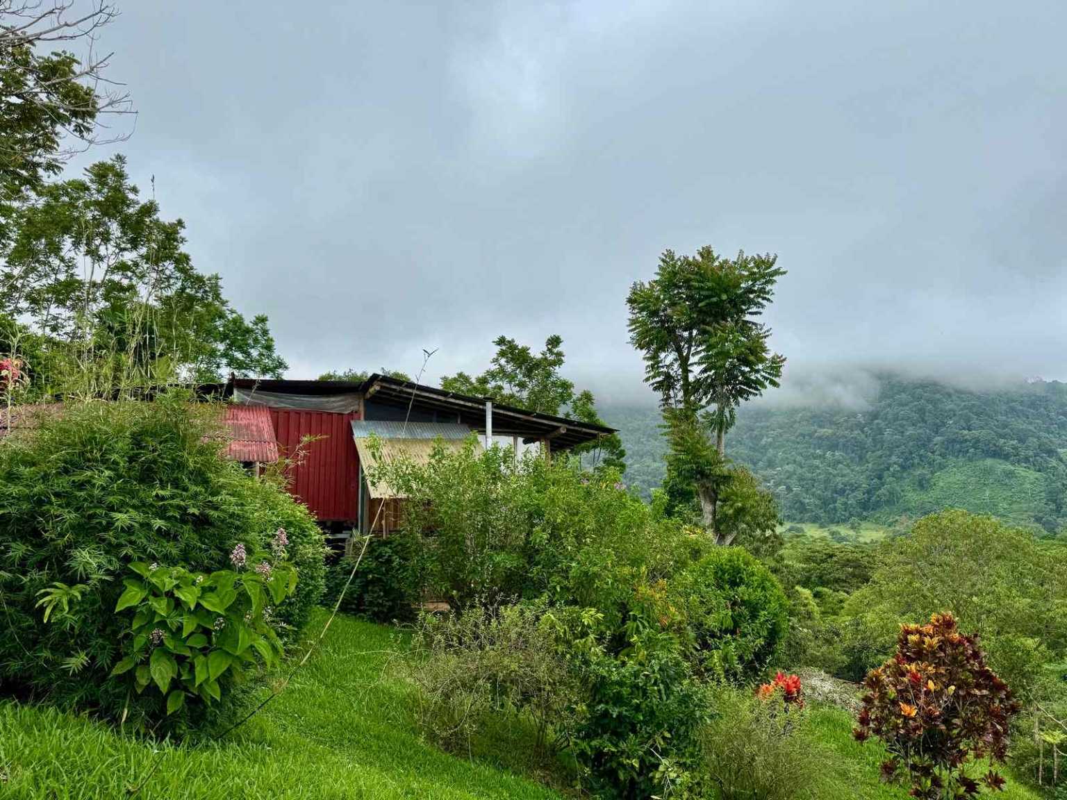 47892 (54) Off-Grid 2-Bedroom Home Plus 2 Guest Cabins, Fruit Trees, River Access, Mountain Views & Small Ocean View on 5+ Acres in Tinamastes Costa Rica