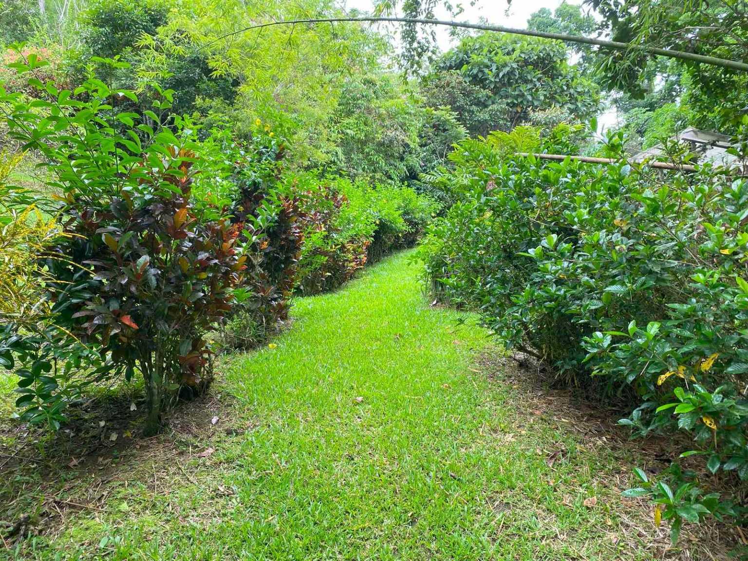 47892 (64) Off-Grid 2-Bedroom Home Plus 2 Guest Cabins, Fruit Trees, River Access, Mountain Views & Small Ocean View on 5+ Acres in Tinamastes Costa Rica