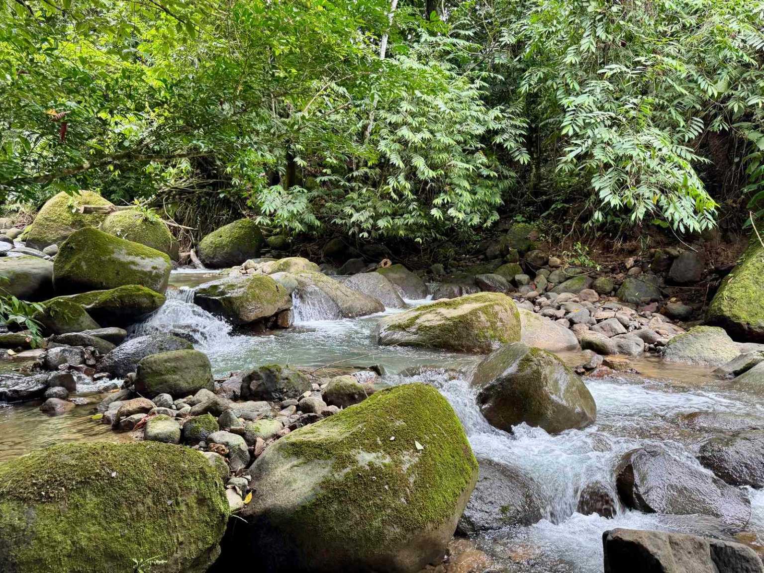 47892 (65) Off-Grid 2-Bedroom Home Plus 2 Guest Cabins, Fruit Trees, River Access, Mountain Views & Small Ocean View on 5+ Acres in Tinamastes Costa Rica