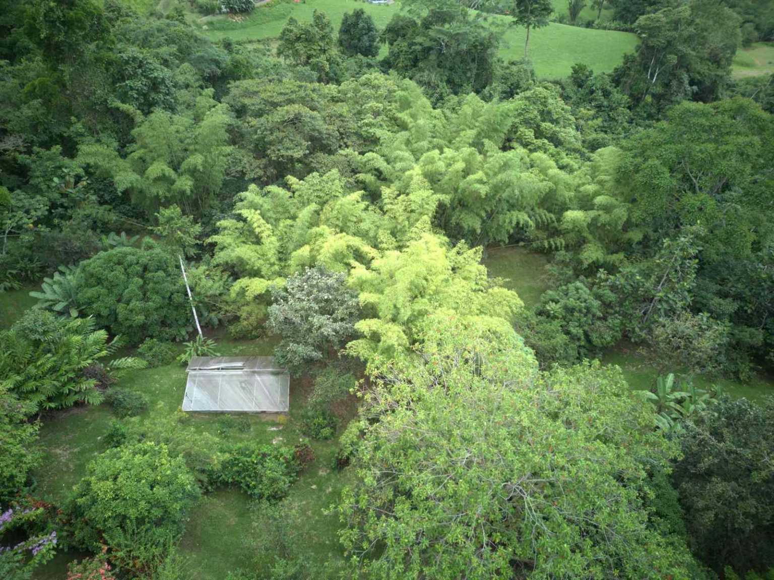 47892 (67) Off-Grid 2-Bedroom Home Plus 2 Guest Cabins, Fruit Trees, River Access, Mountain Views & Small Ocean View on 5+ Acres in Tinamastes Costa Rica