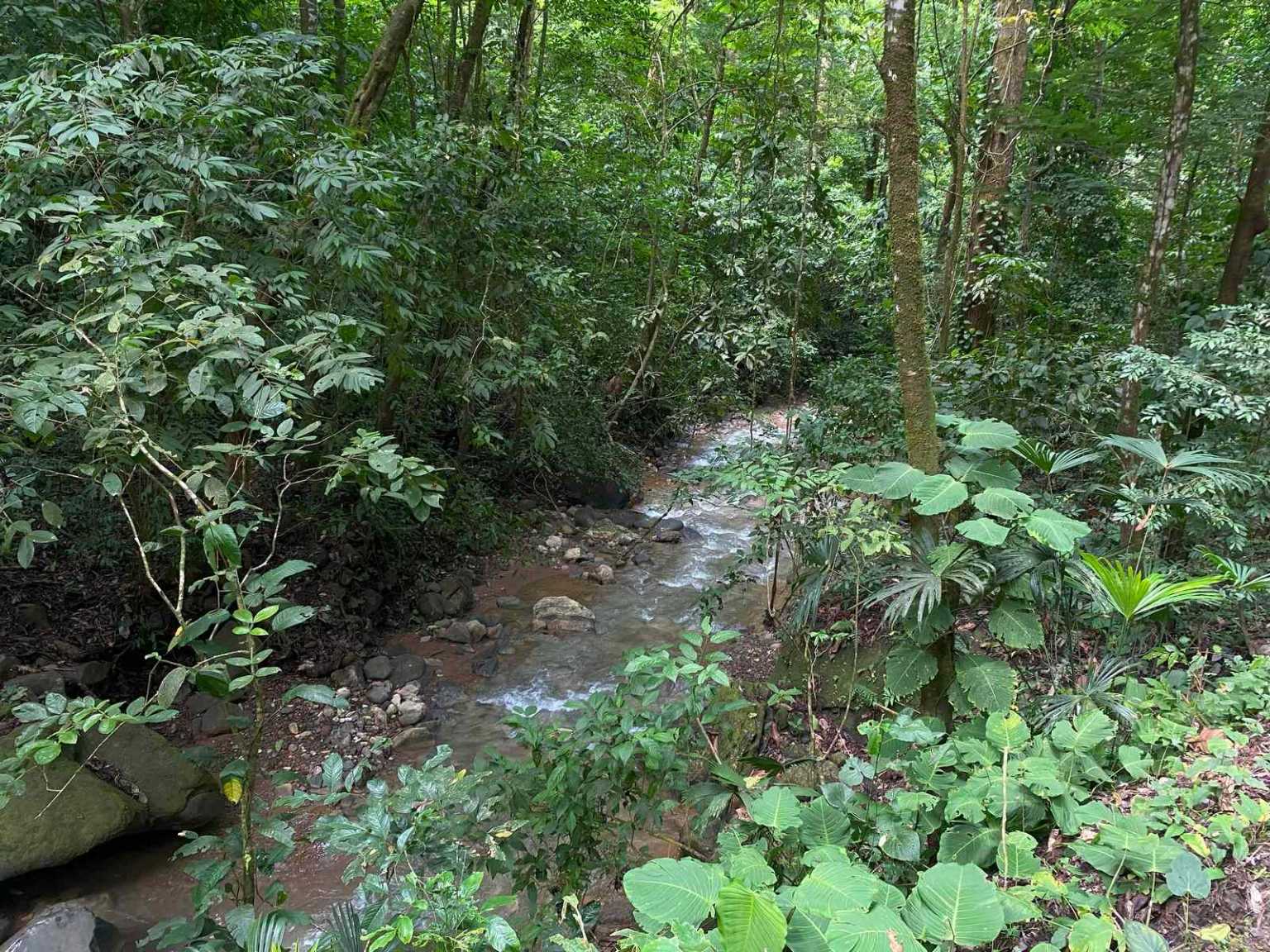 47892 (5) Off-Grid 2-Bedroom Home Plus 2 Guest Cabins, Fruit Trees, River Access, Mountain Views & Small Ocean View on 5+ Acres in Tinamastes Costa Rica