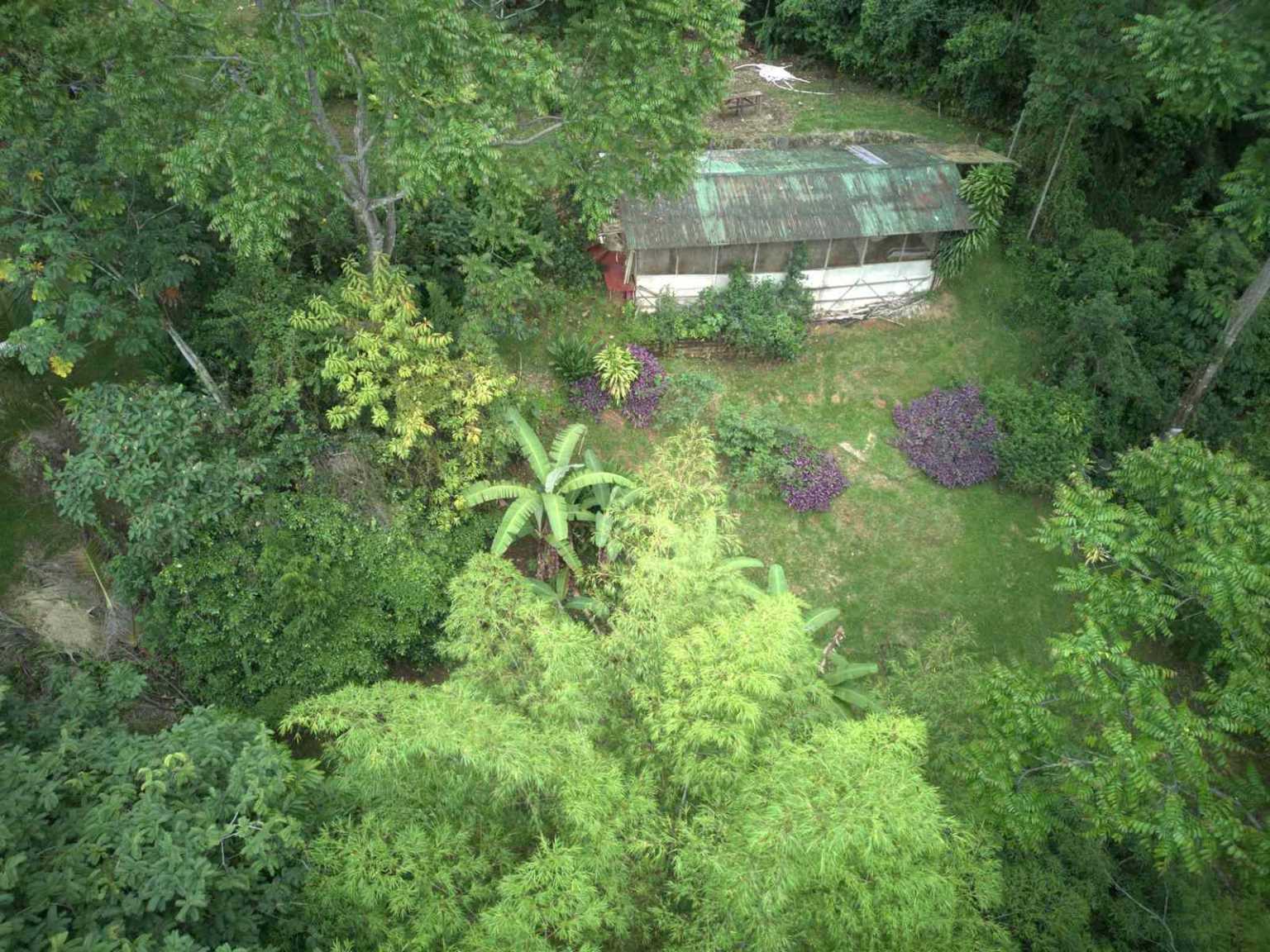 47892 (17) Off-Grid 2-Bedroom Home Plus 2 Guest Cabins, Fruit Trees, River Access, Mountain Views & Small Ocean View on 5+ Acres in Tinamastes Costa Rica