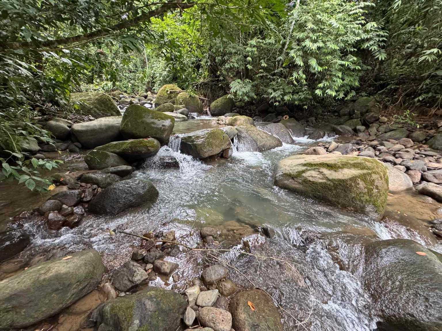 47892 (29) Off-Grid 2-Bedroom Home Plus 2 Guest Cabins, Fruit Trees, River Access, Mountain Views & Small Ocean View on 5+ Acres in Tinamastes Costa Rica