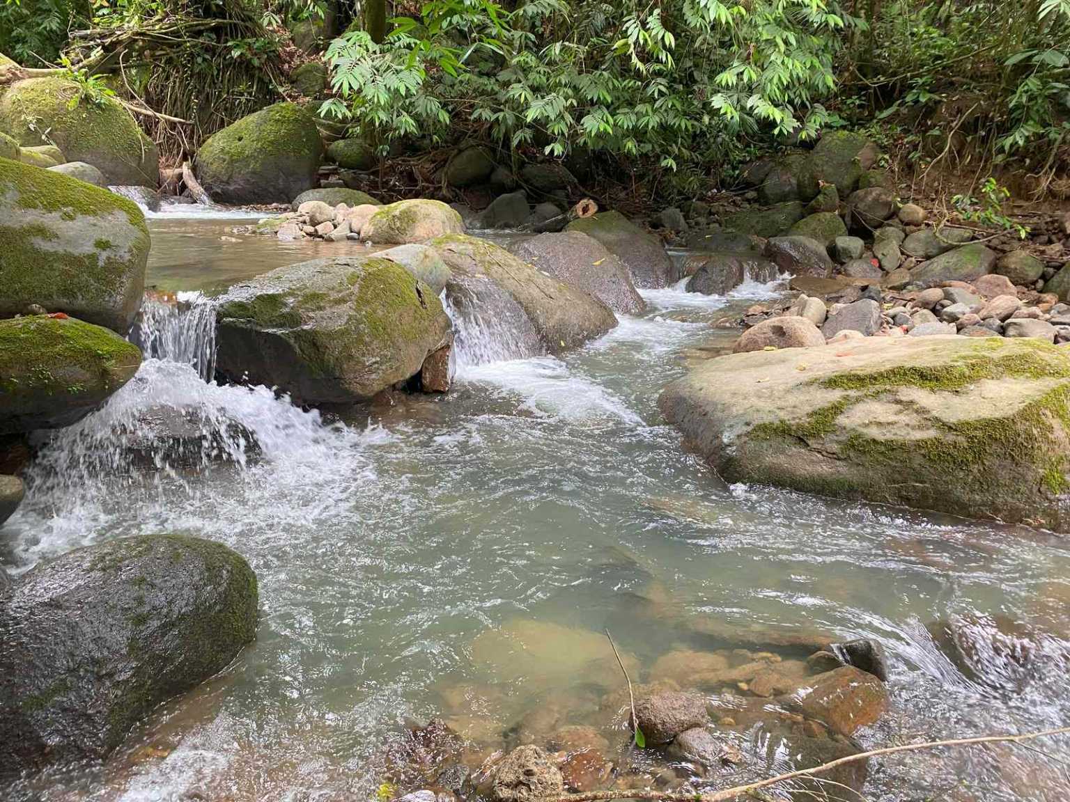 47892 (31) Off-Grid 2-Bedroom Home Plus 2 Guest Cabins, Fruit Trees, River Access, Mountain Views & Small Ocean View on 5+ Acres in Tinamastes Costa Rica
