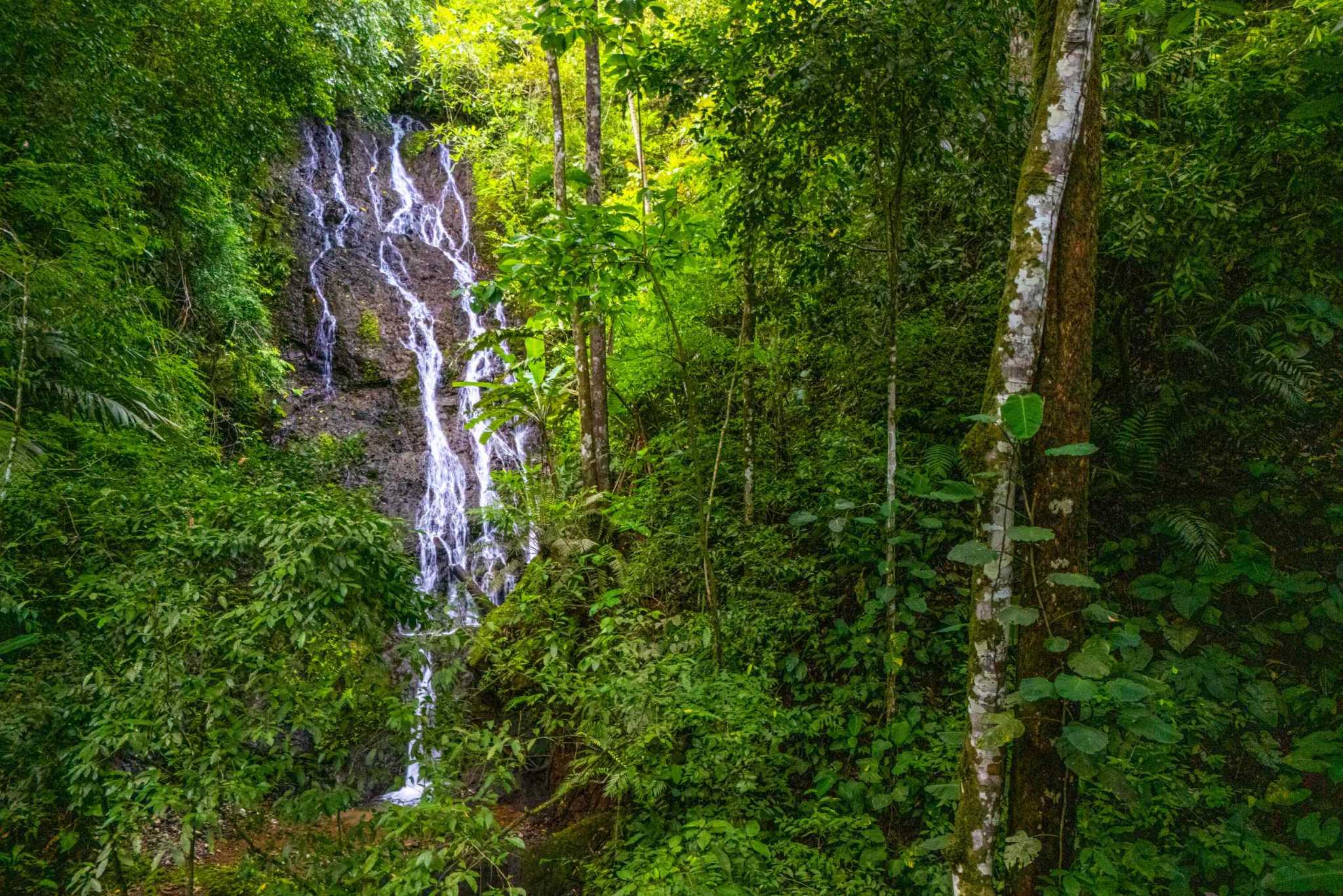 New Construction 3-Bedroom Waterfall House where Nature, Comfort & Elegance Combine in Tres Rios Costa Rica