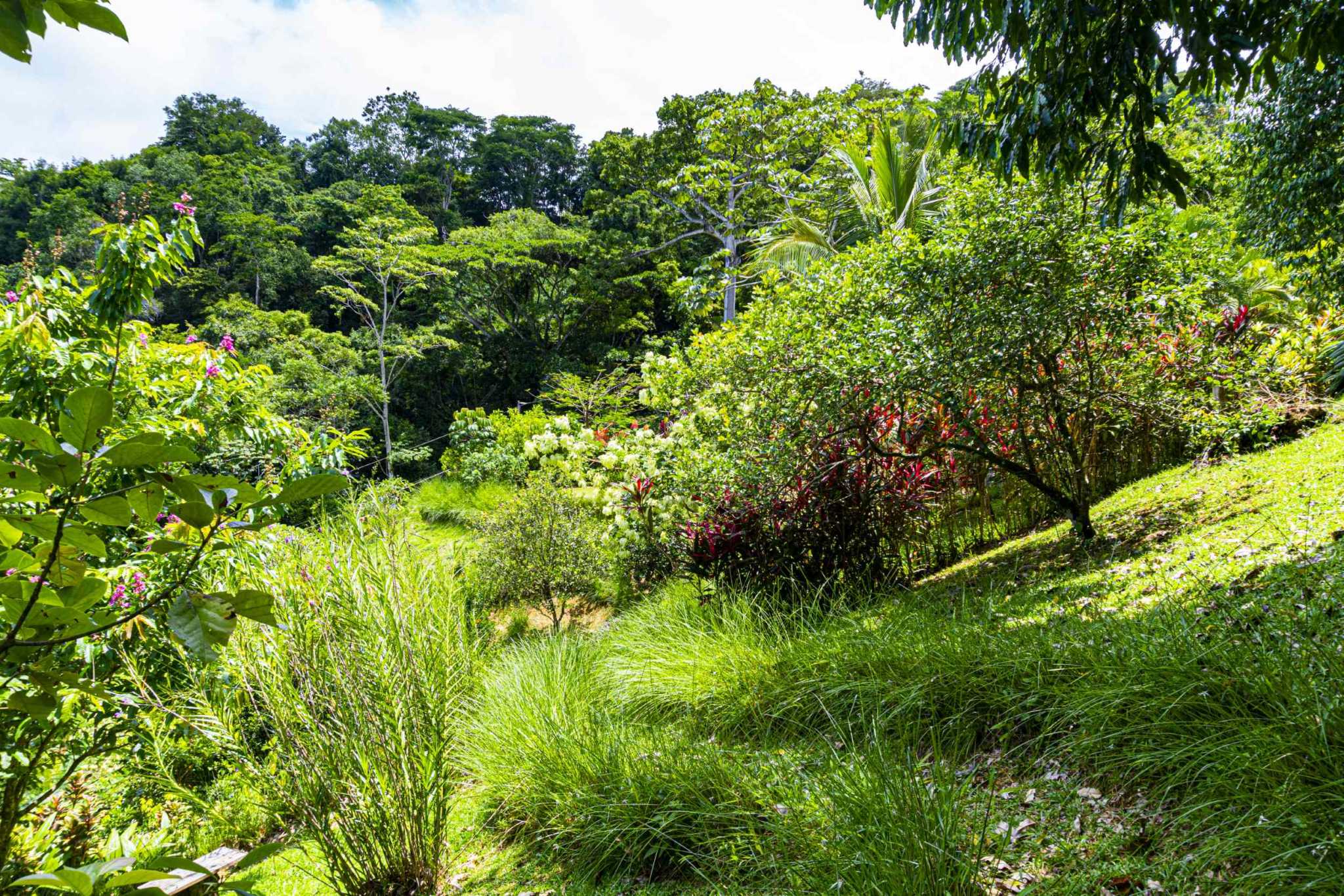 Incredible Panoramic Ocean & Mountain Views from this 2-Bedroom Home Near Cacao Ridge in Platanillo Costa Rica