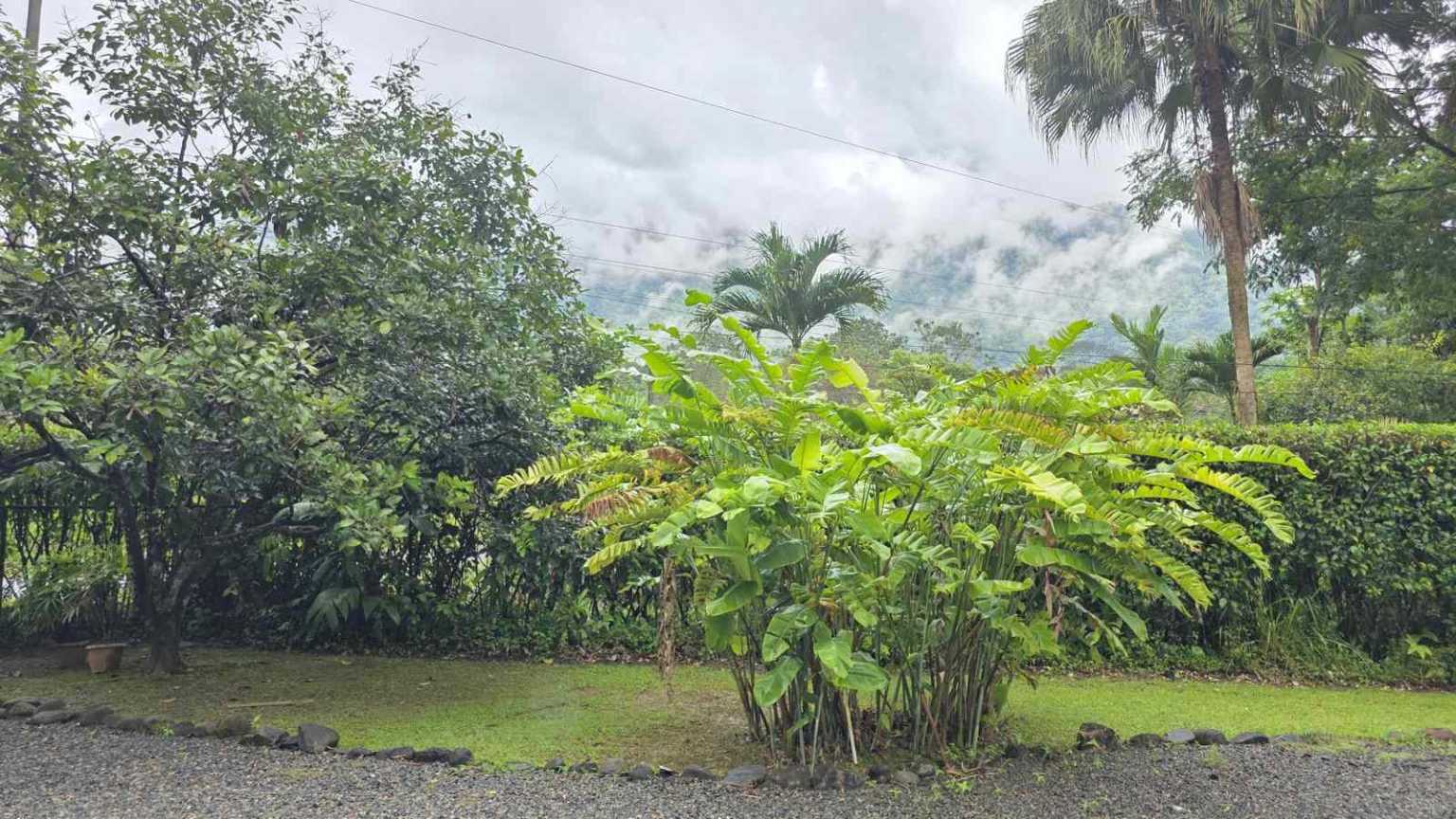 30753 (26) Easy-Access Home with Beautiful Outdoor Living Space, Pool & Garden in Ojochal Costa Rica