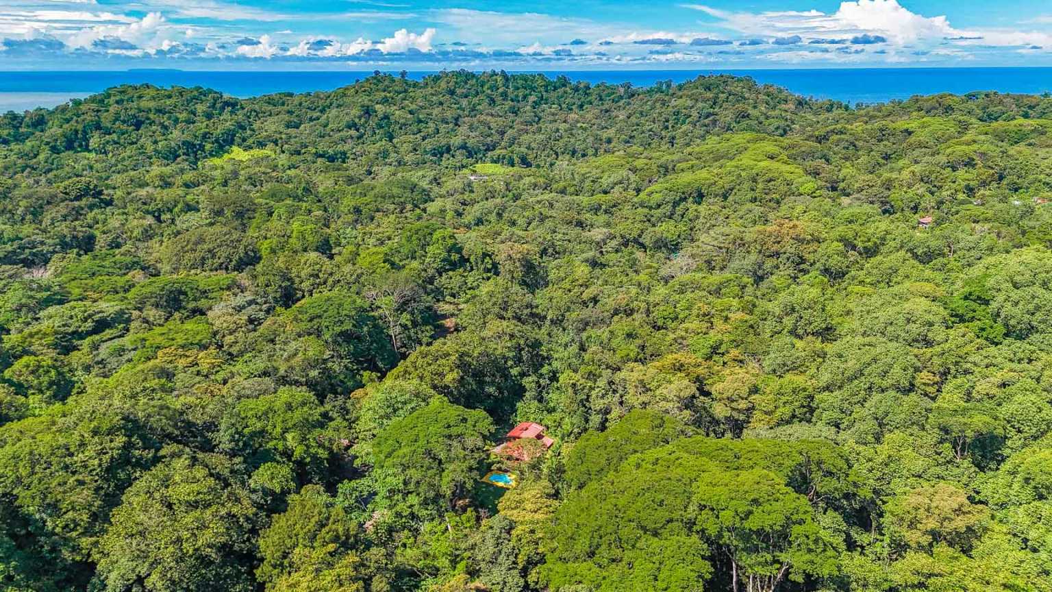 49166 (14) Riverside 3-Bedroom Jungle House with Pool in Ojochal, Costa Rica