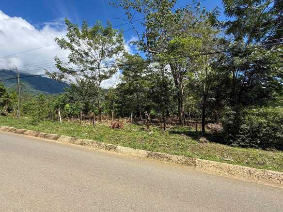 Grand Ocean & Mountain Views from this Building Lot in Tinamaste above Dominical Costa Rica, Platanillo, Costa Rica — photo 8
